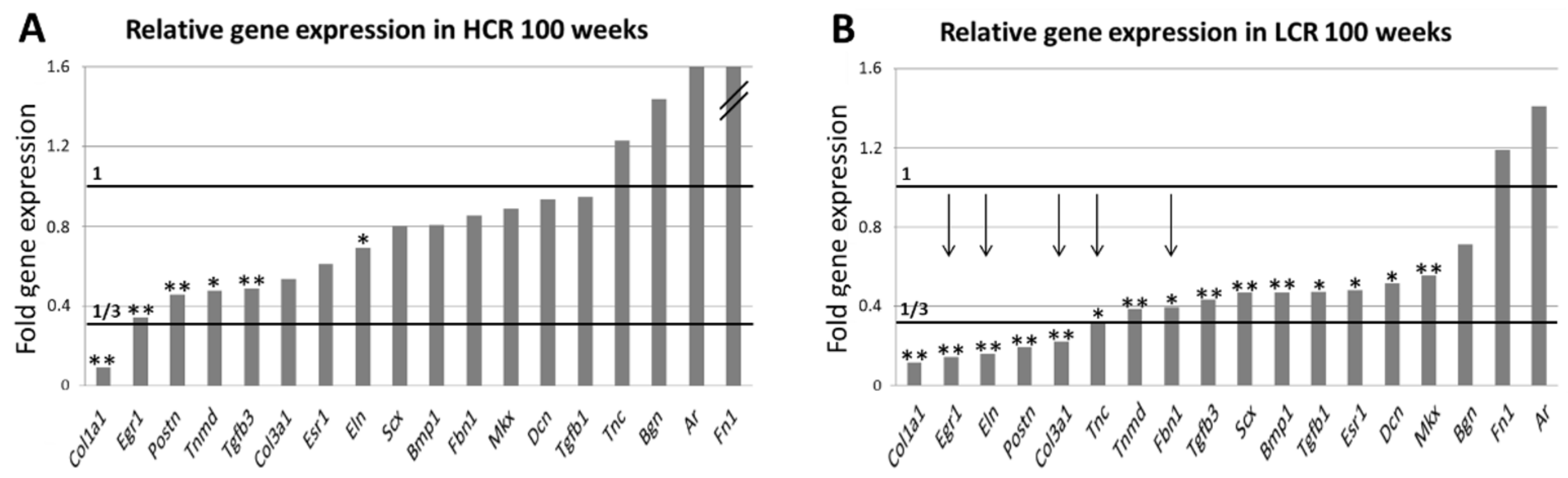 Biomedicines 10 00509 g007 Biomedicines 10 00509 g007