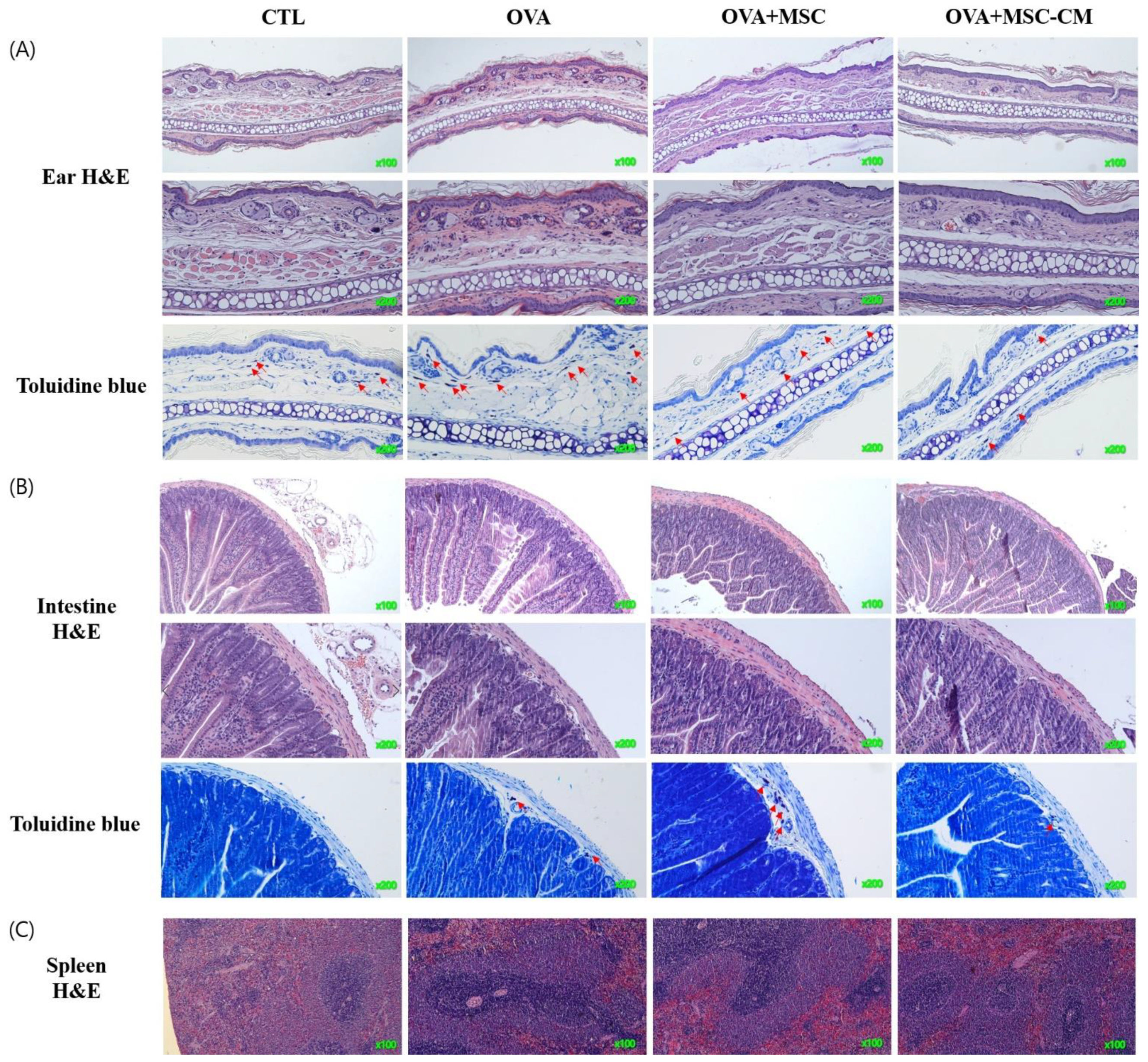 Biomedicines 10 00511 g007
