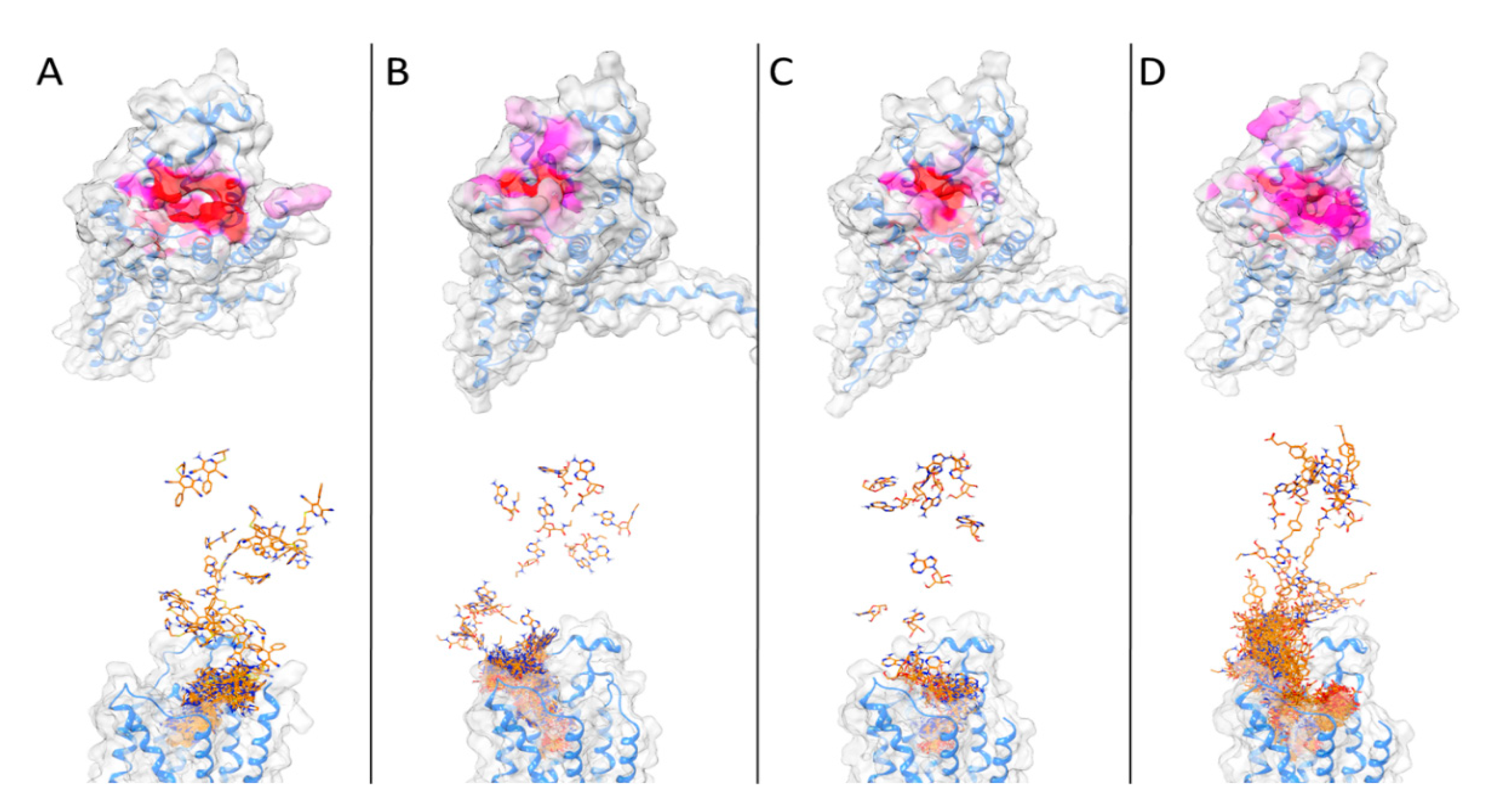 Biomedicines 10 00515 g007 550