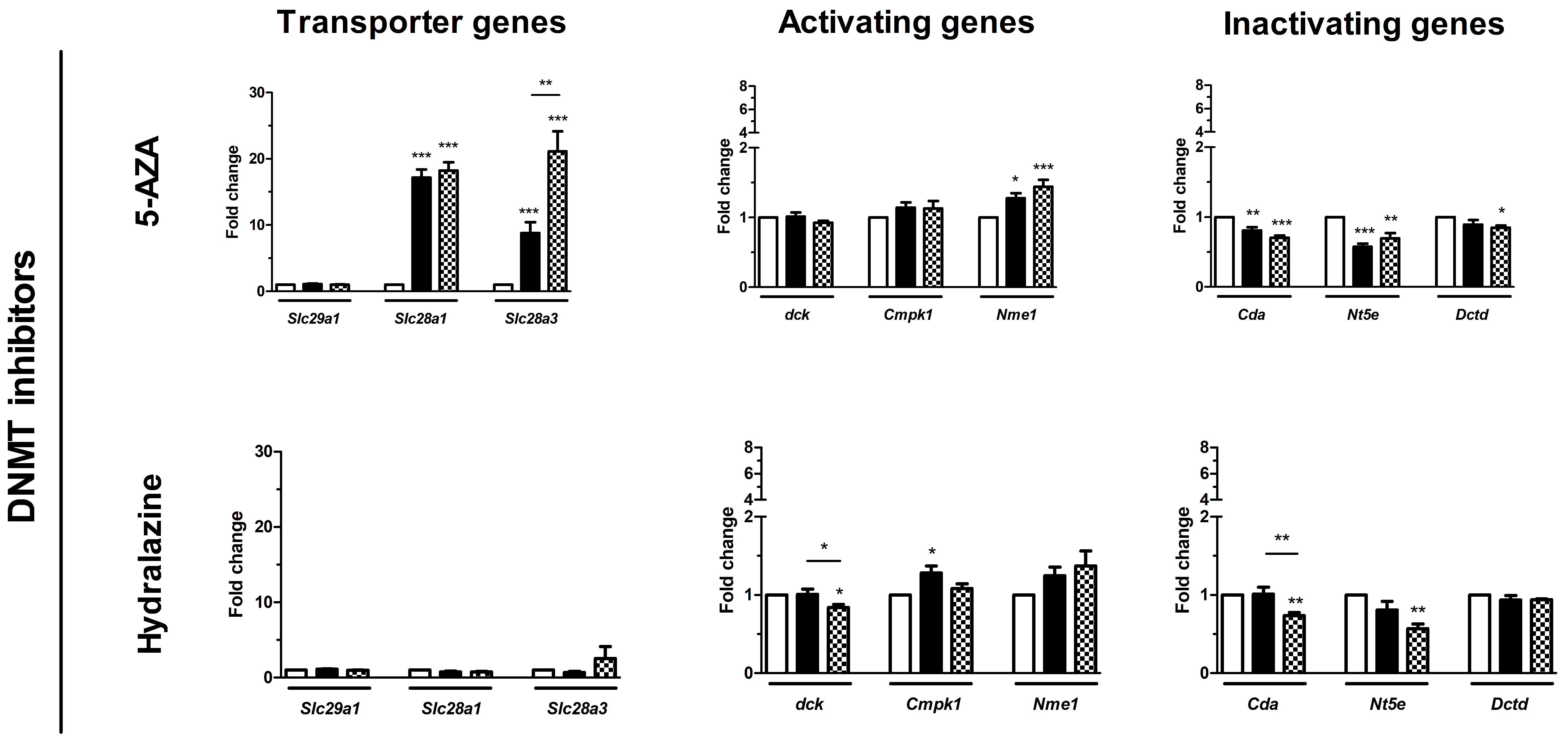 Biomedicines 10 00517 g004a