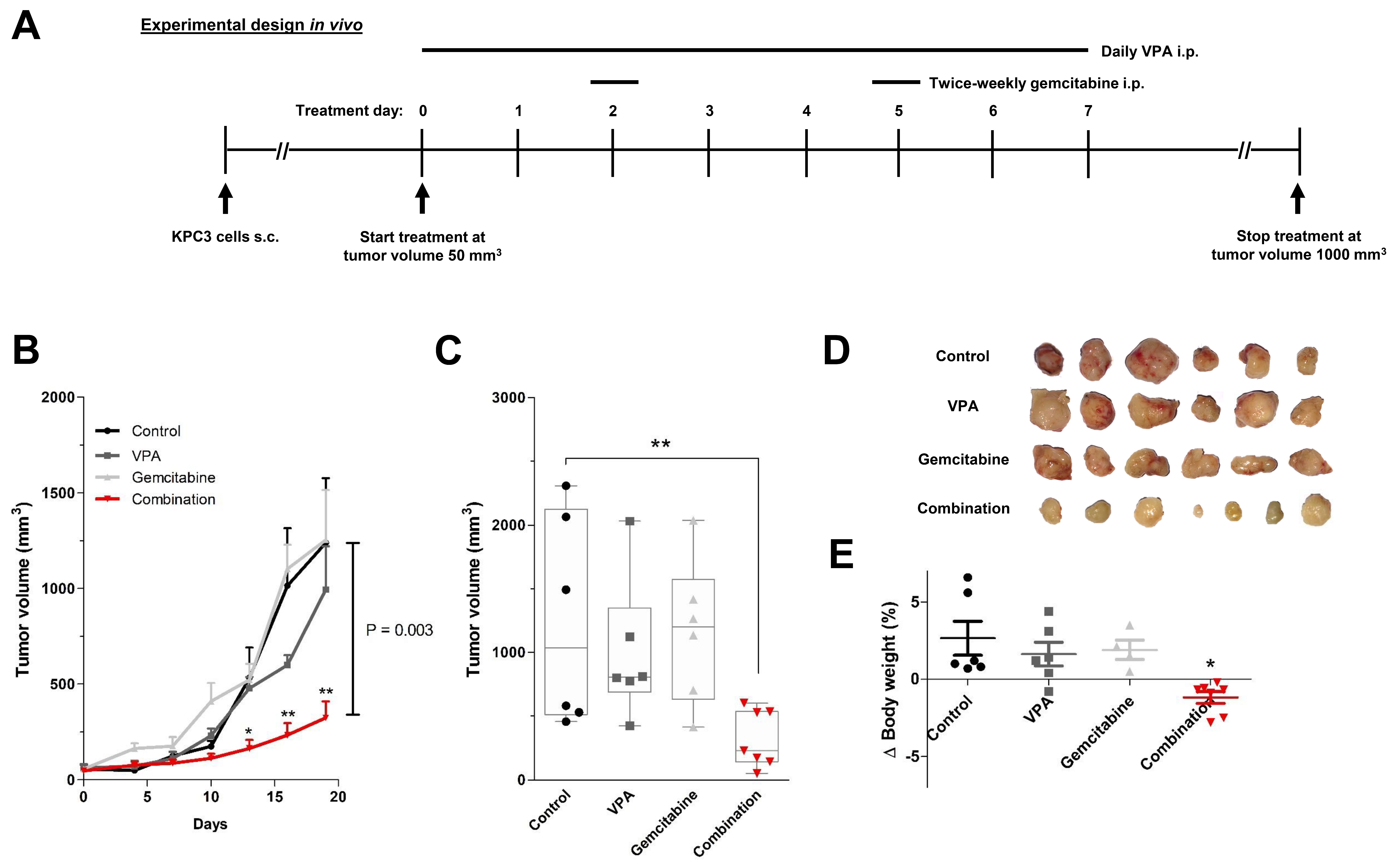 Biomedicines 10 00517 g005
