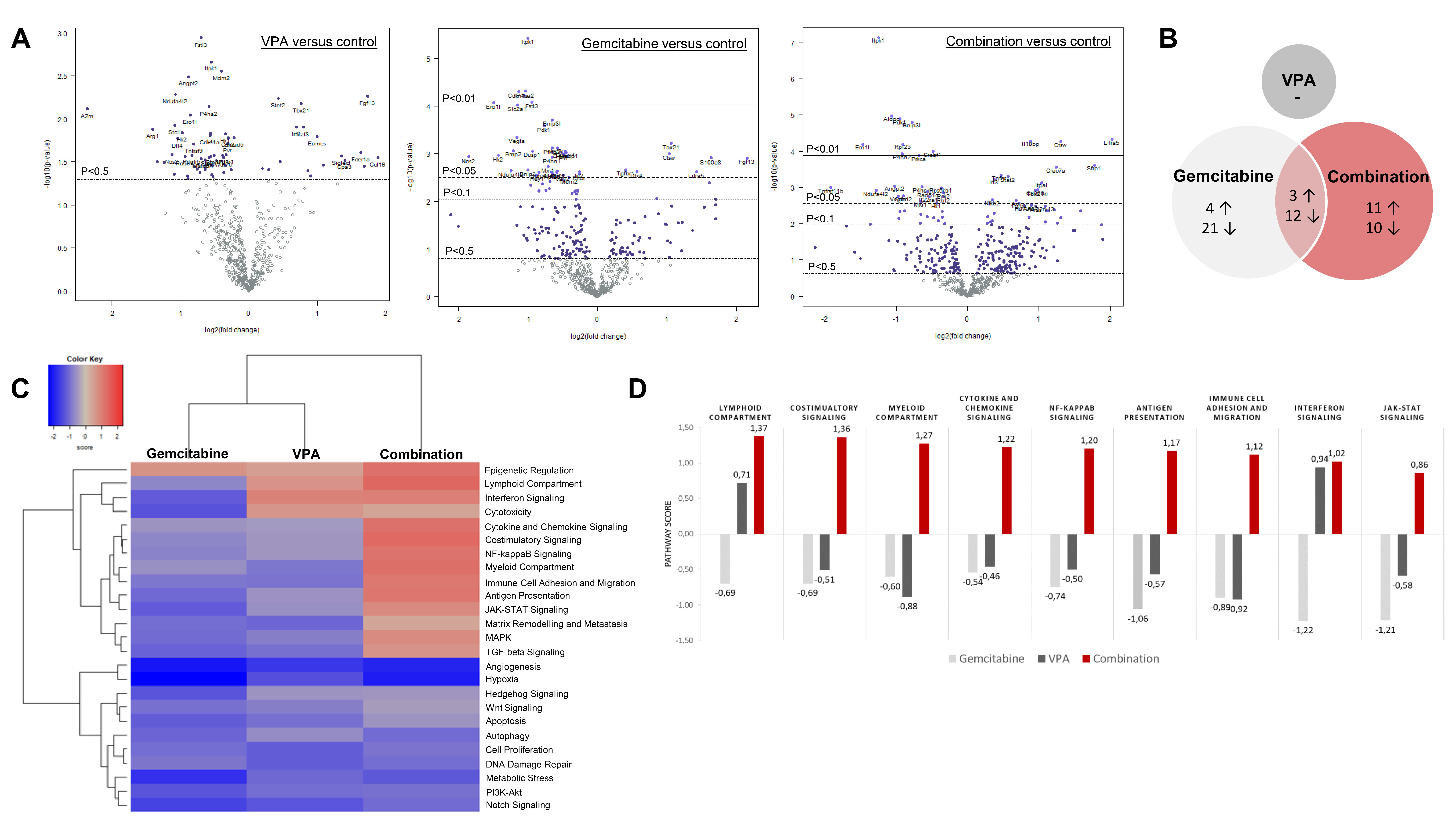 Biomedicines 10 00517 g006