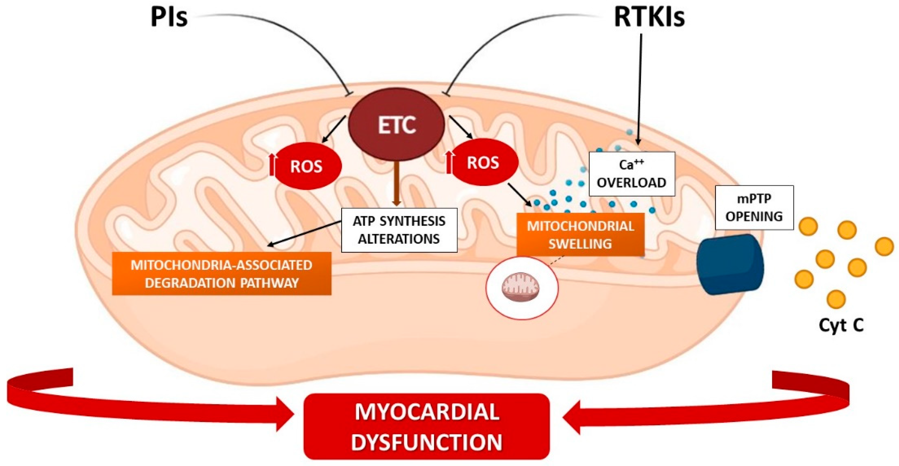 Biomedicines 10 00520 g003 Biomedicines 10 00520 g003
