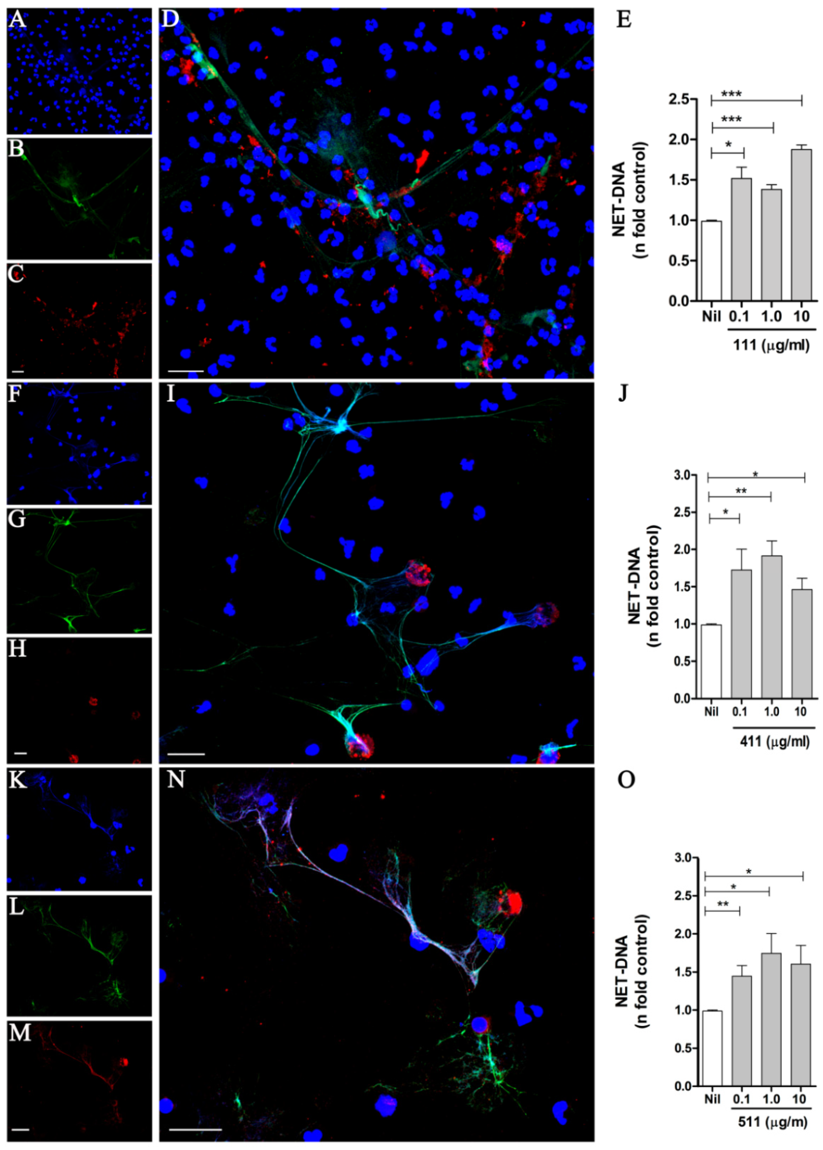 Biomedicines 10 00521 g001 Biomedicines 10 00521 g001