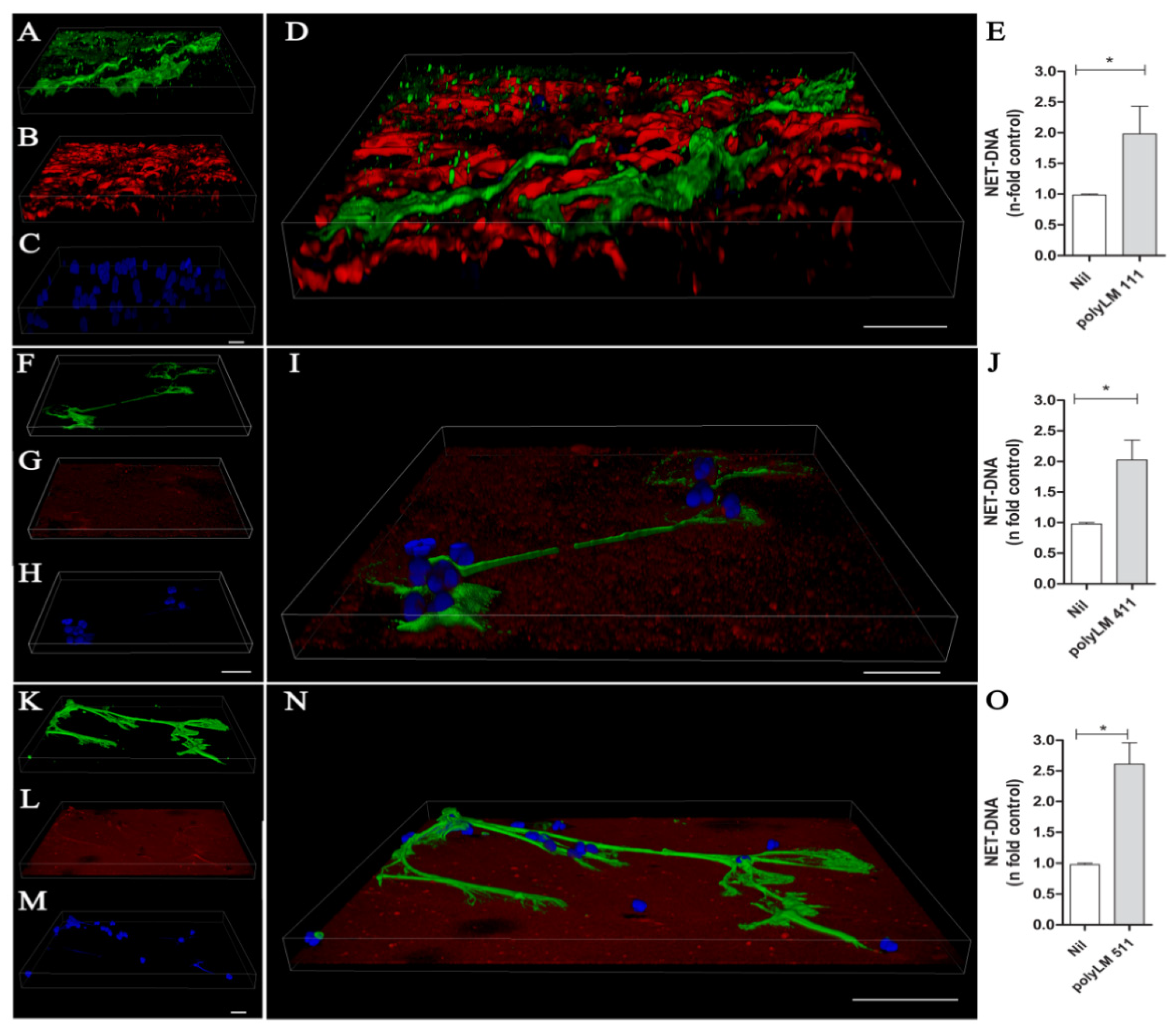 Biomedicines 10 00521 g005 Biomedicines 10 00521 g005