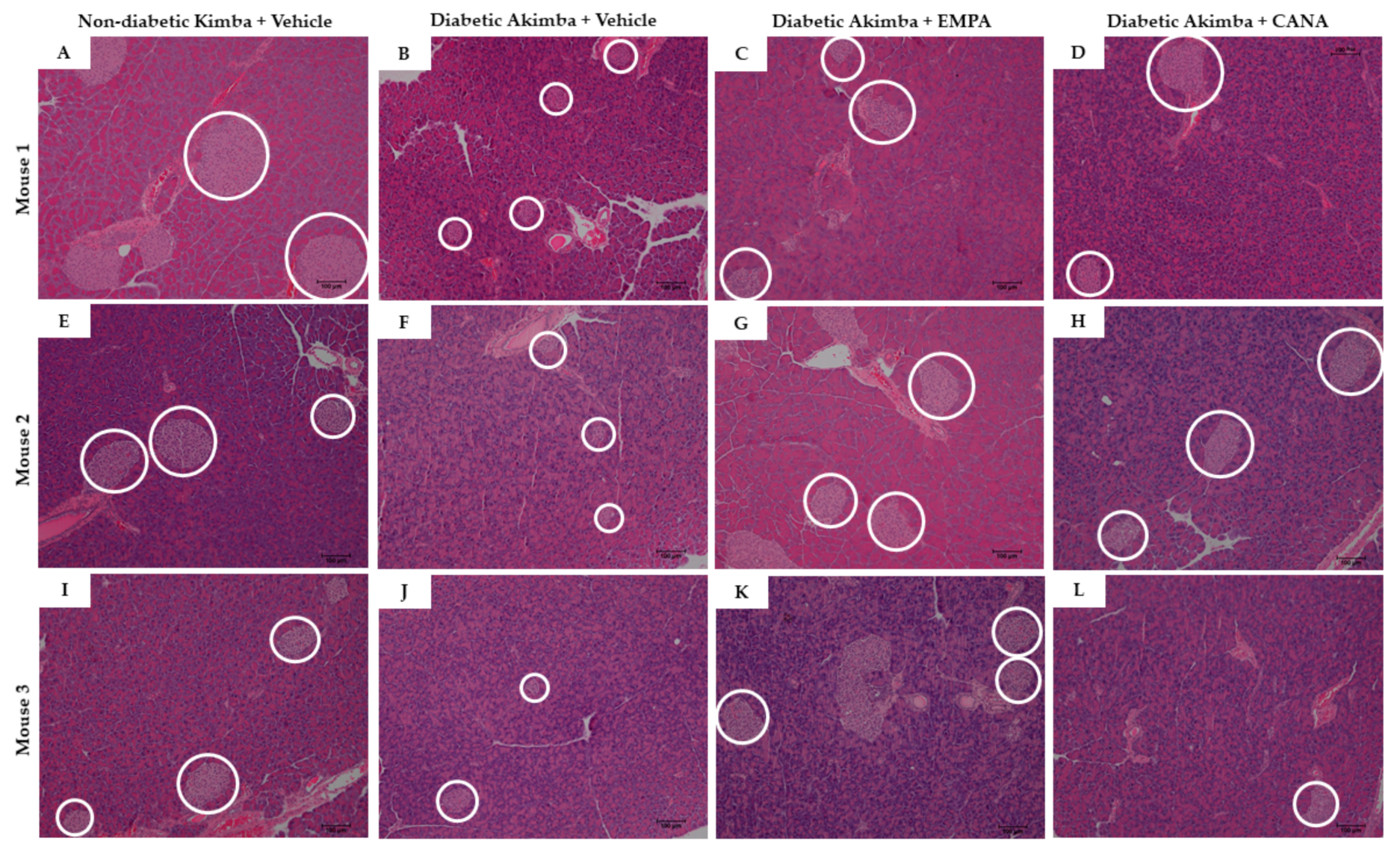 Biomedicines 10 00522 g003 Biomedicines 10 00522 g003
