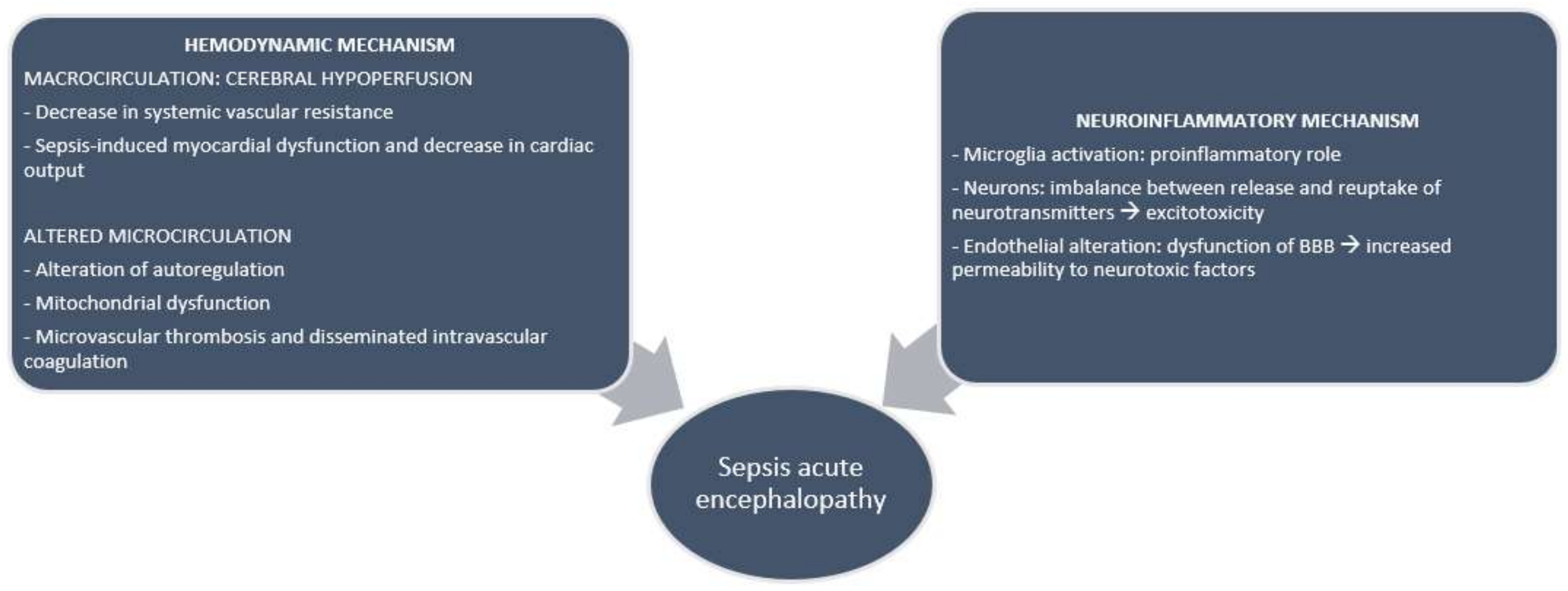 Biomedicines 10 00526 g001 Biomedicines 10 00526 g001