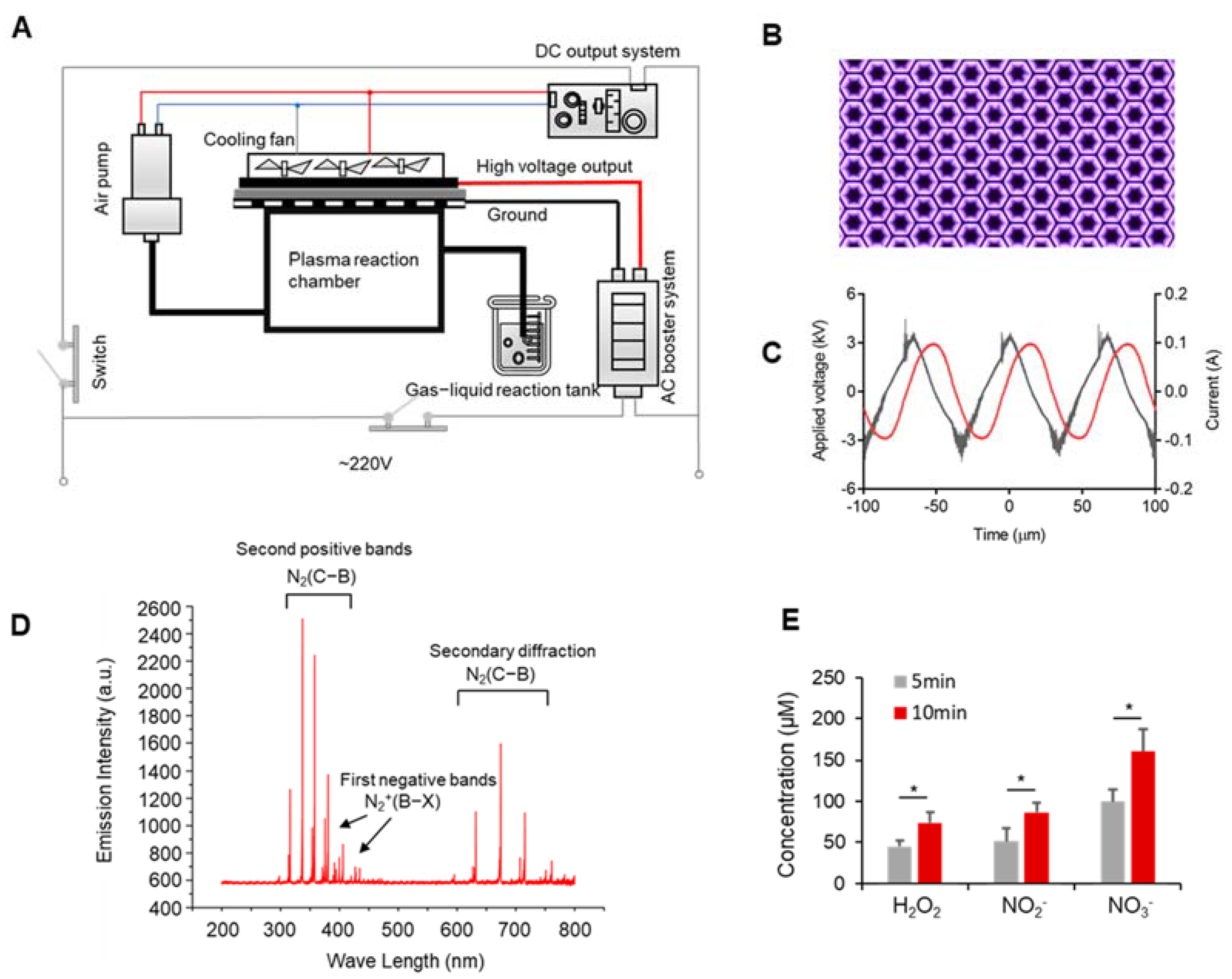Biomedicines 10 00528 g001