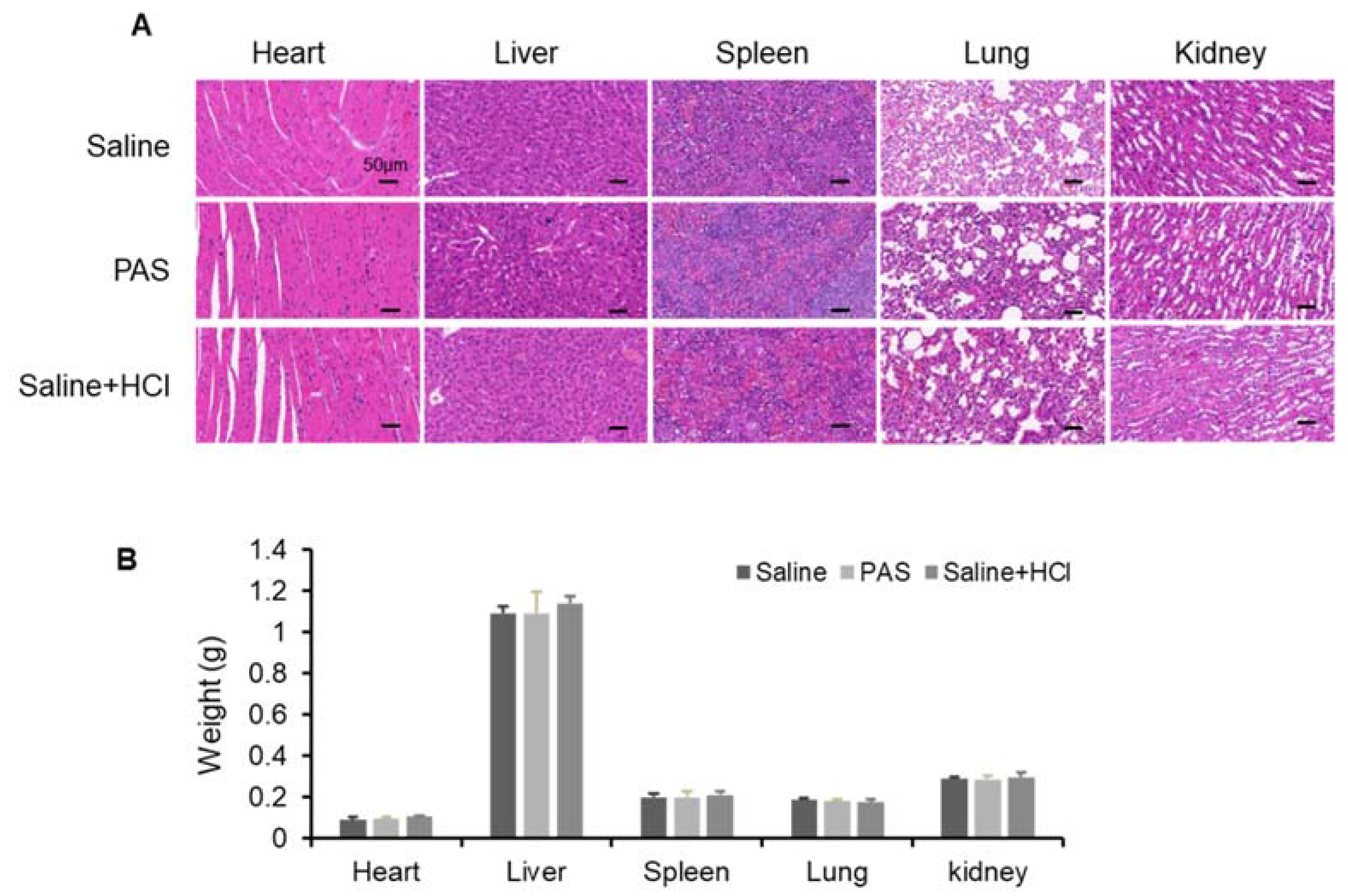 Biomedicines 10 00528 g005