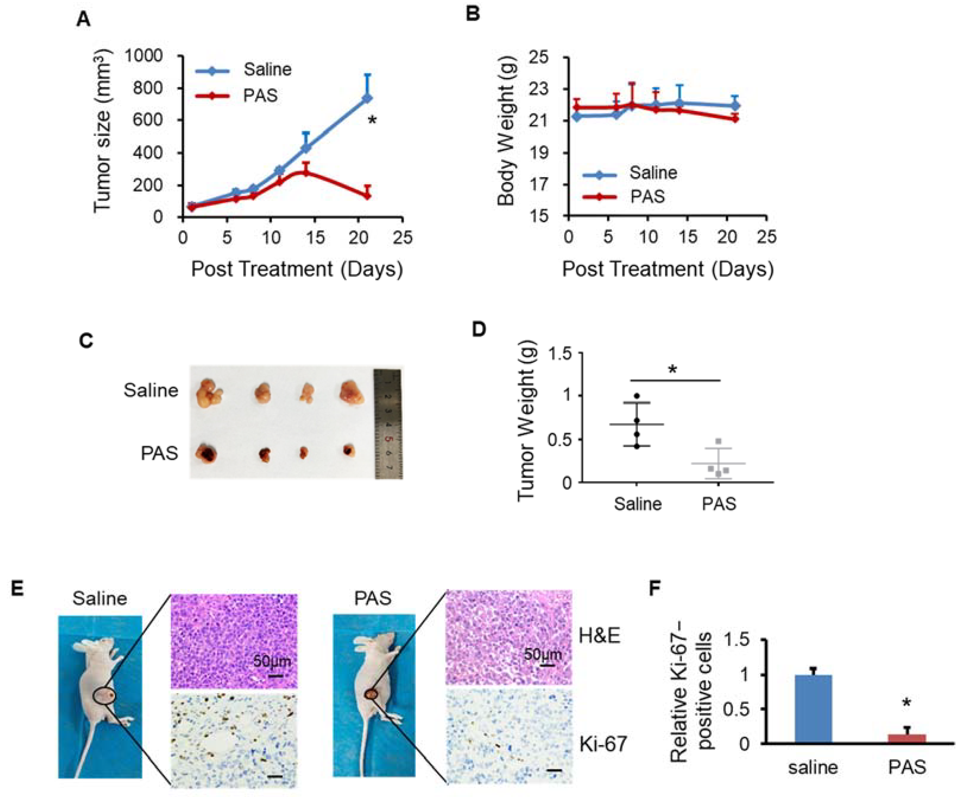 Biomedicines 10 00528 g006