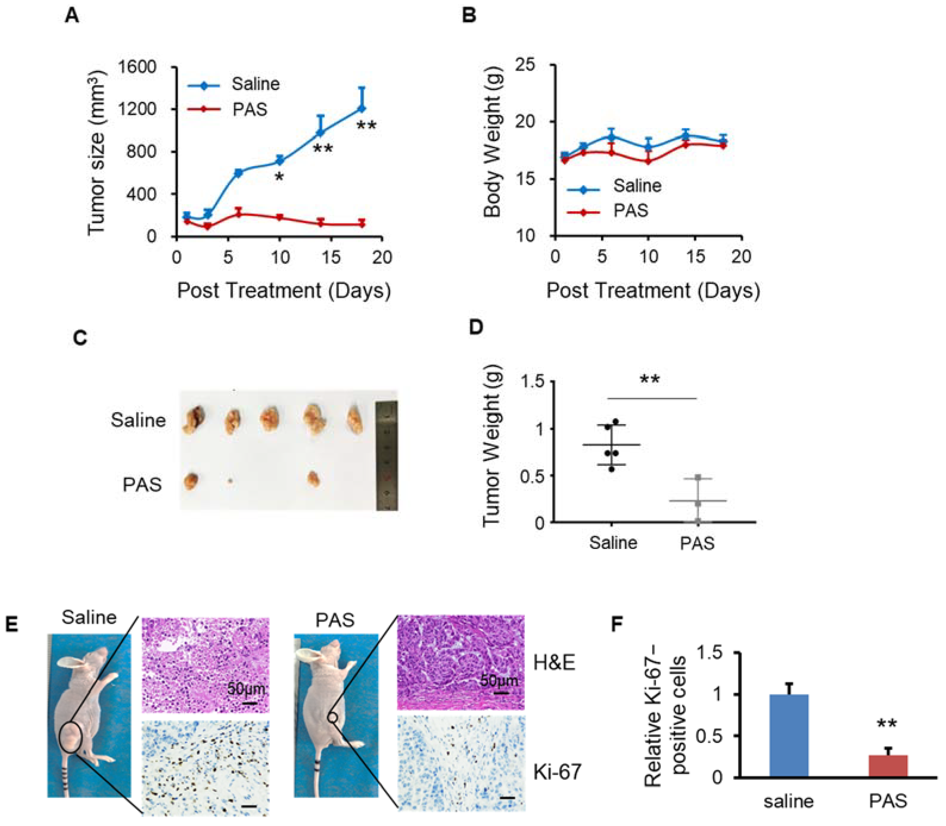 Biomedicines 10 00528 g007