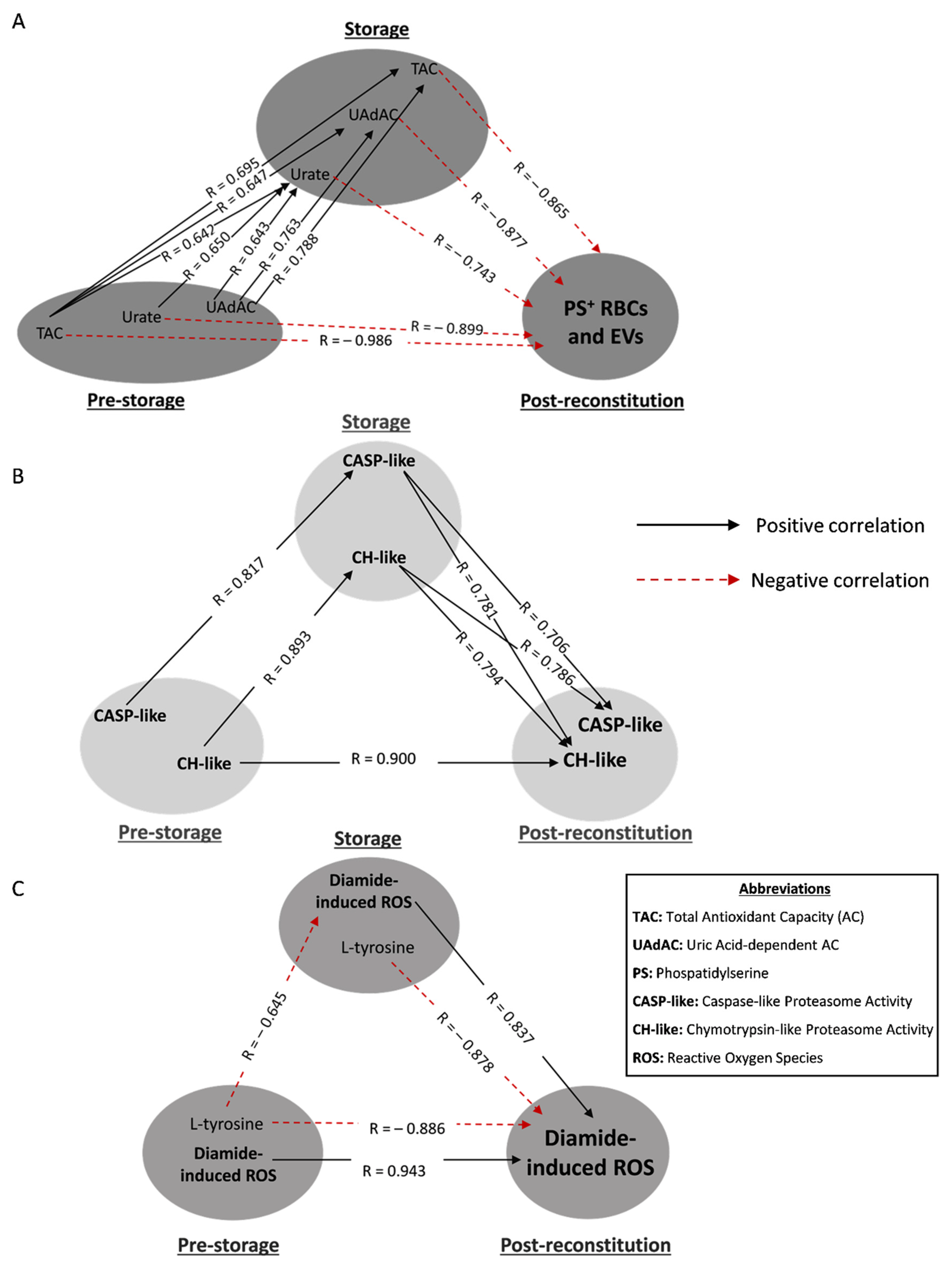 Biomedicines 10 00530 g004