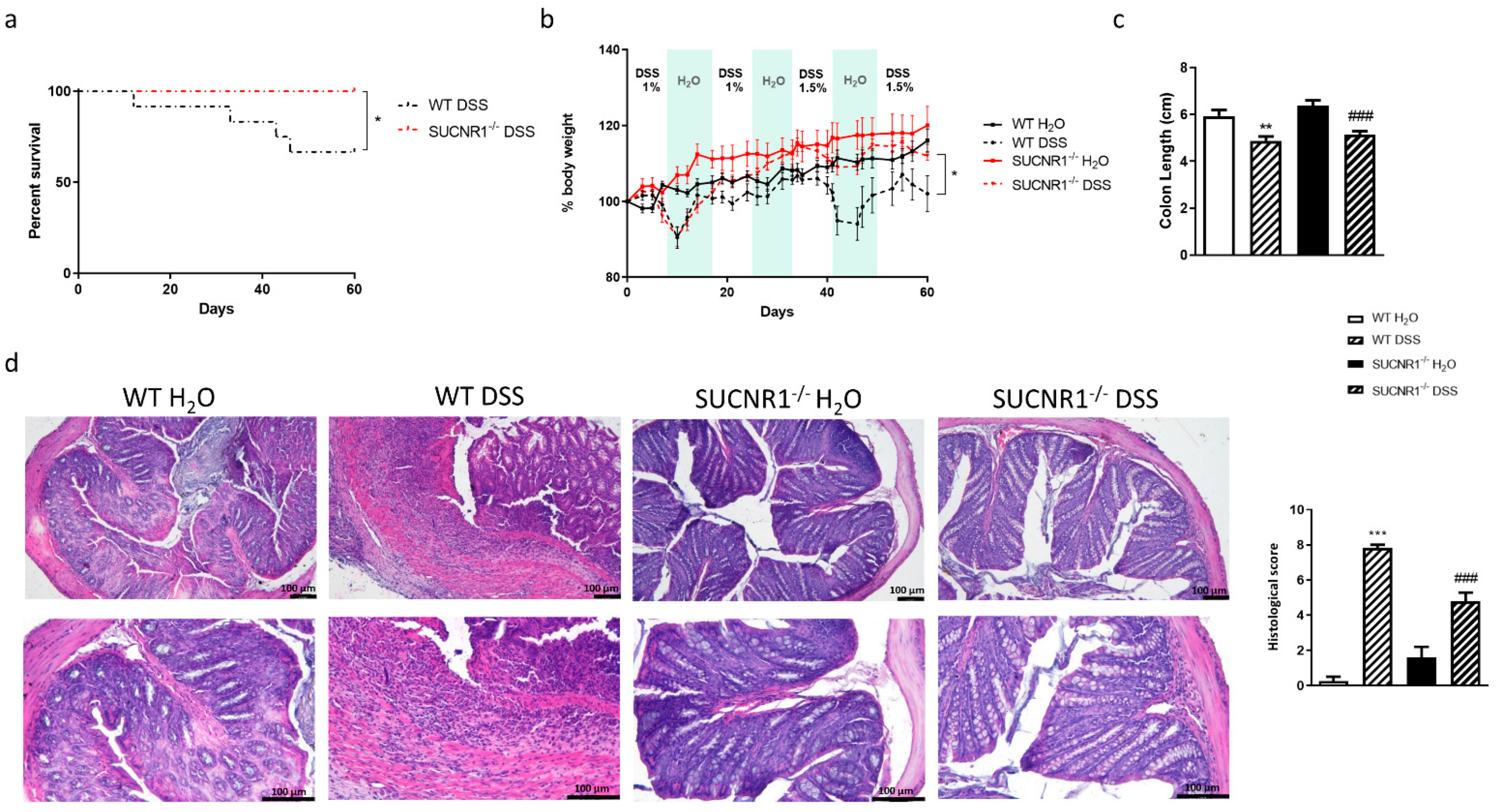 Biomedicines 10 00532 g003 550