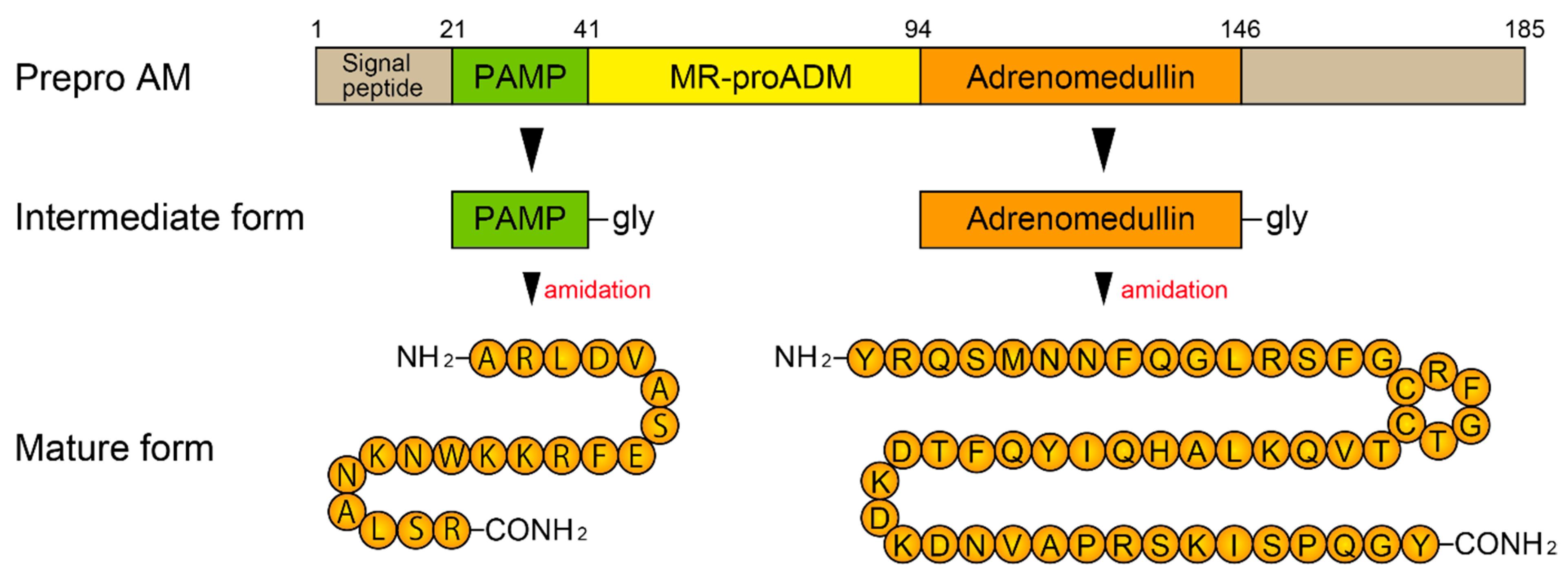 Biomedicines 10 00533 g002 Biomedicines 10 00533 g002