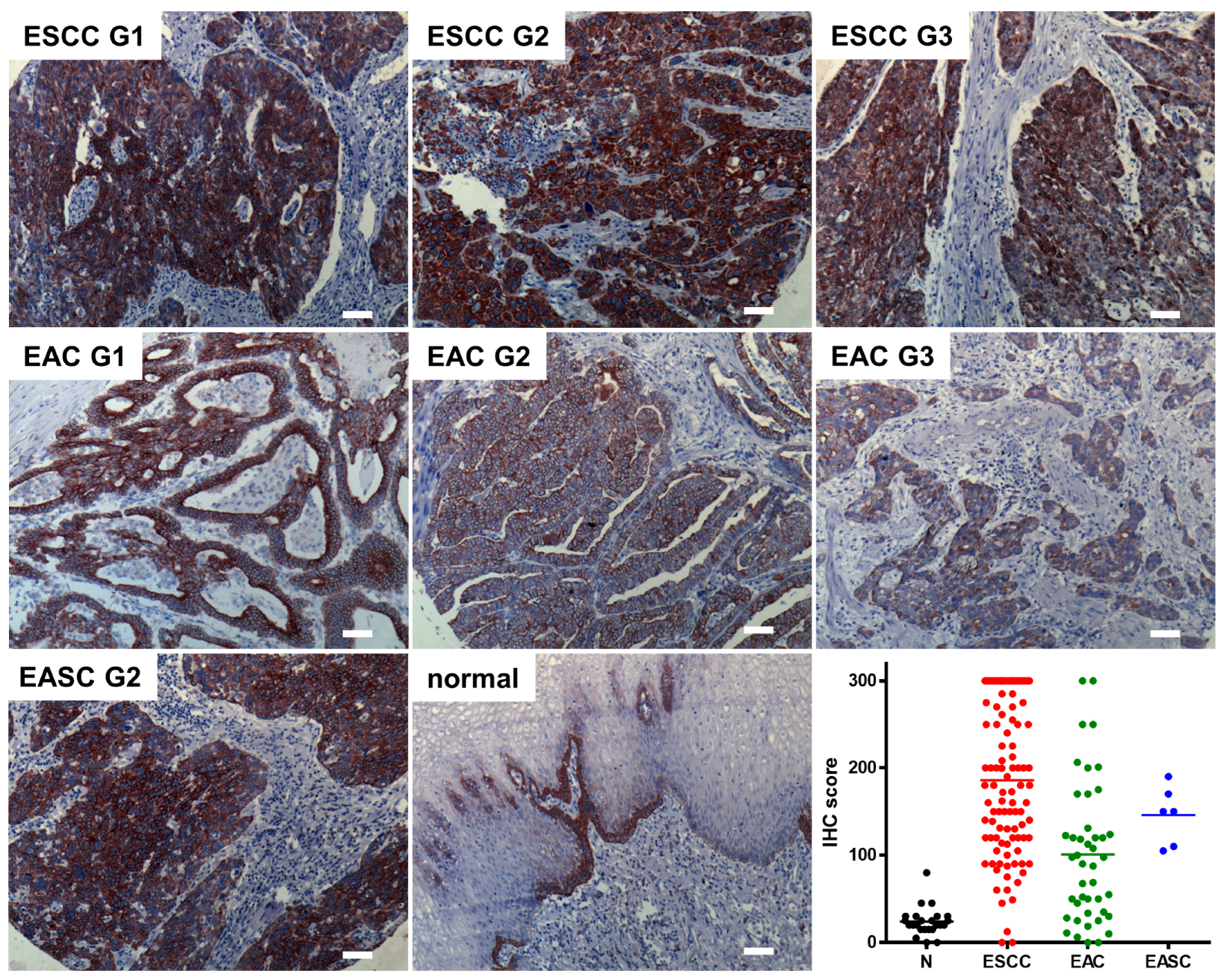 Biomedicines 10 00536 g001
