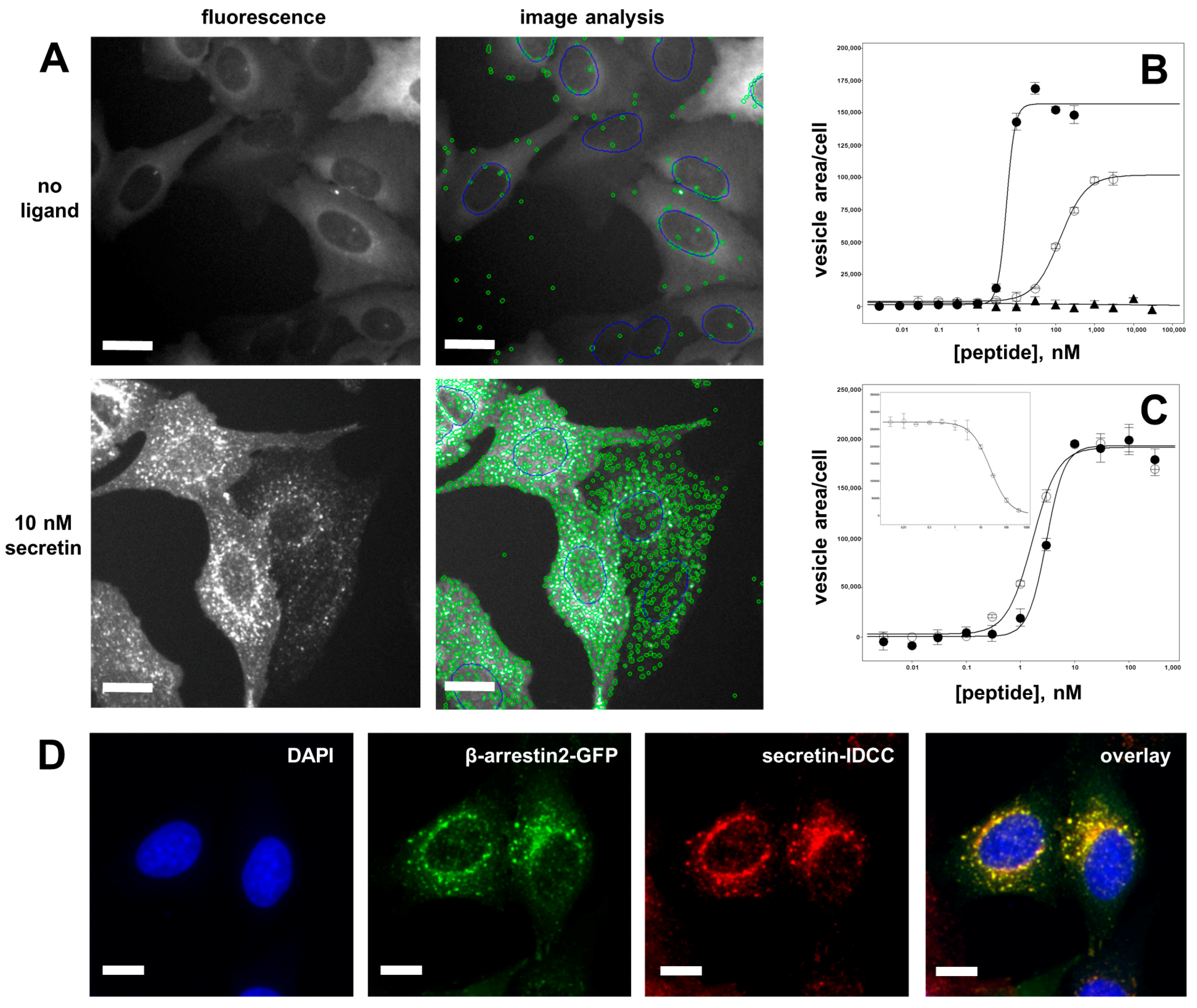 Biomedicines 10 00536 g003