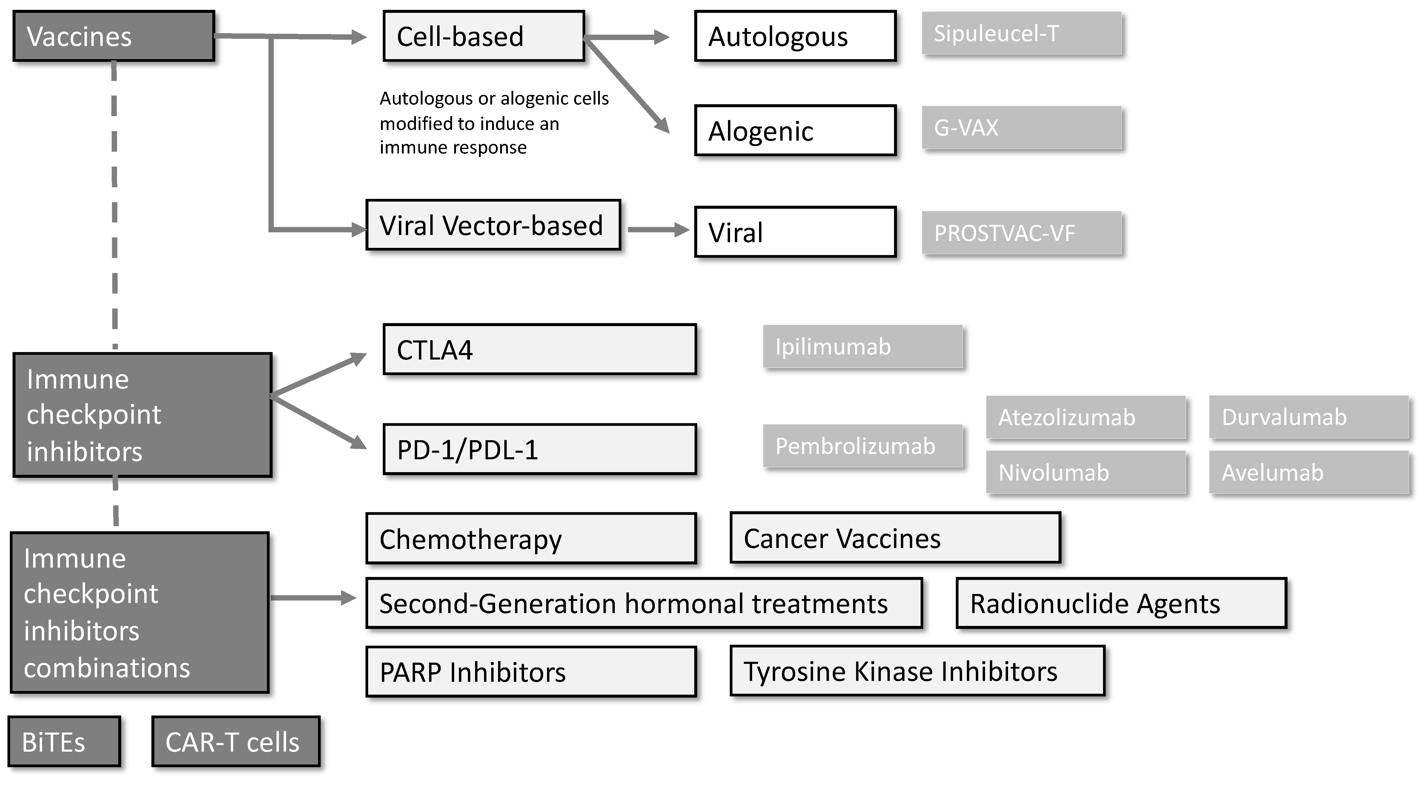 Biomedicines 10 00537 g001 Biomedicines 10 00537 g001
