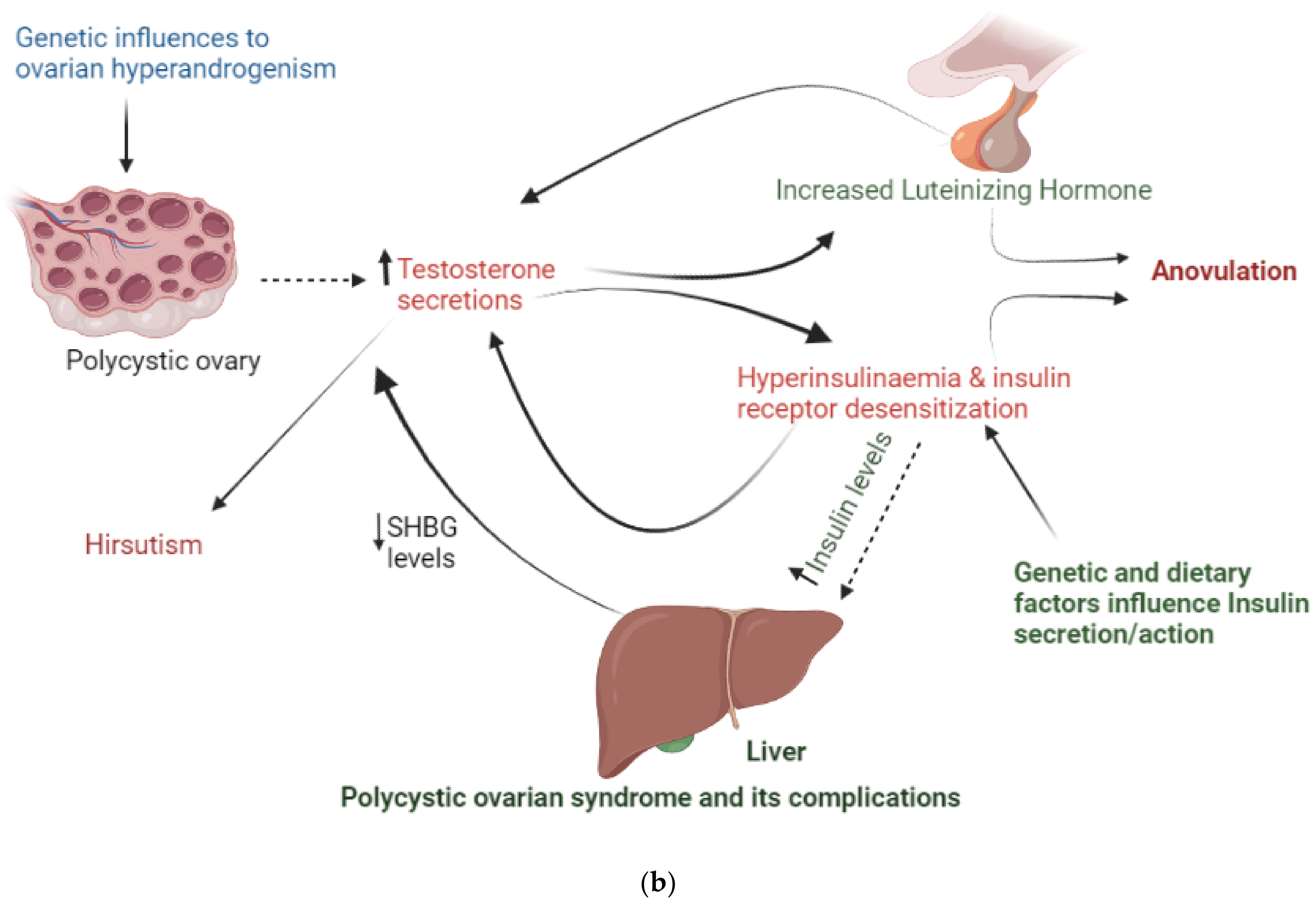 Polycystic Ovarian Syndrome polycystic-ovarian-syndrome