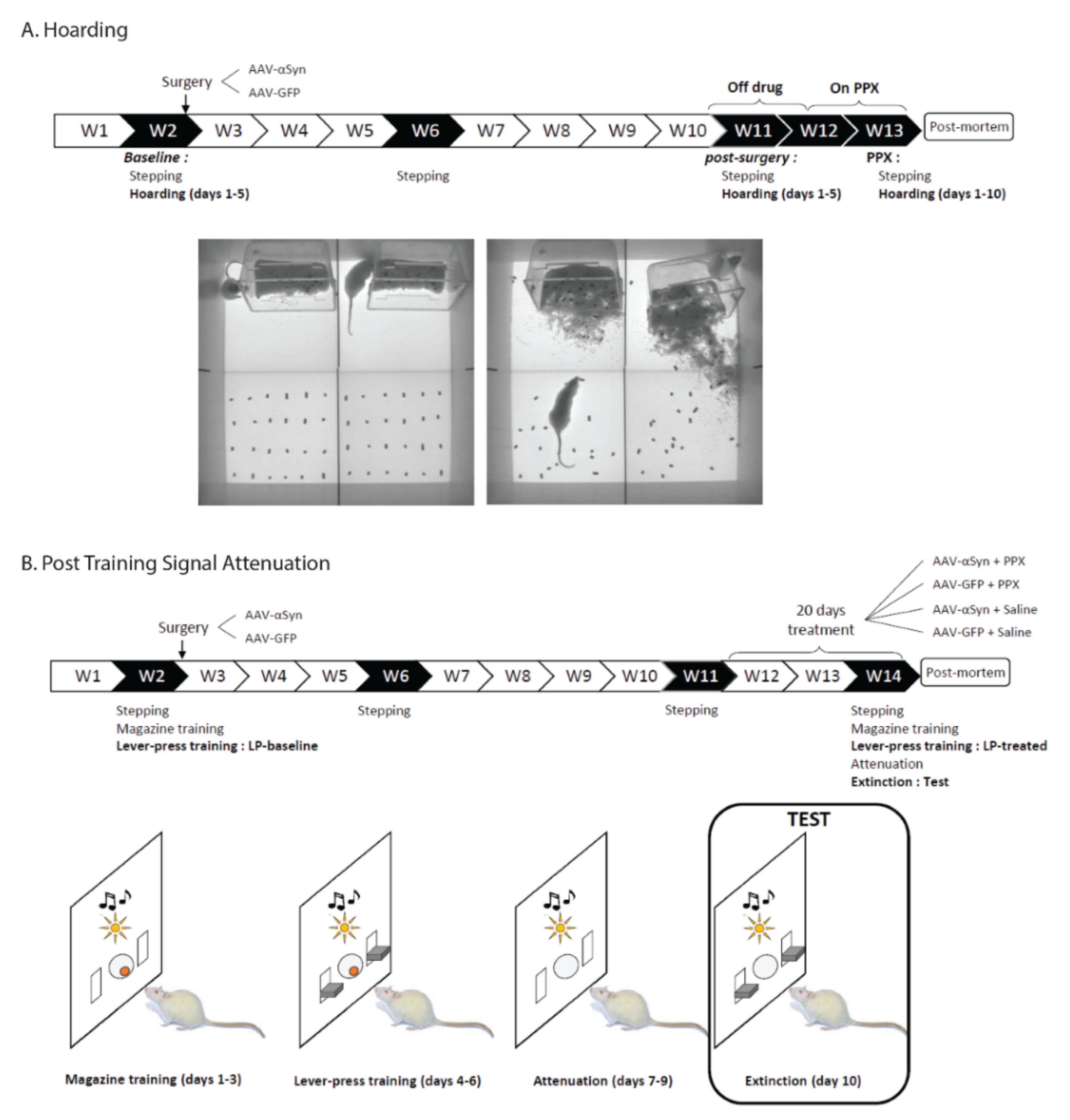 Biomedicines 10 00542 g001 Biomedicines 10 00542 g001