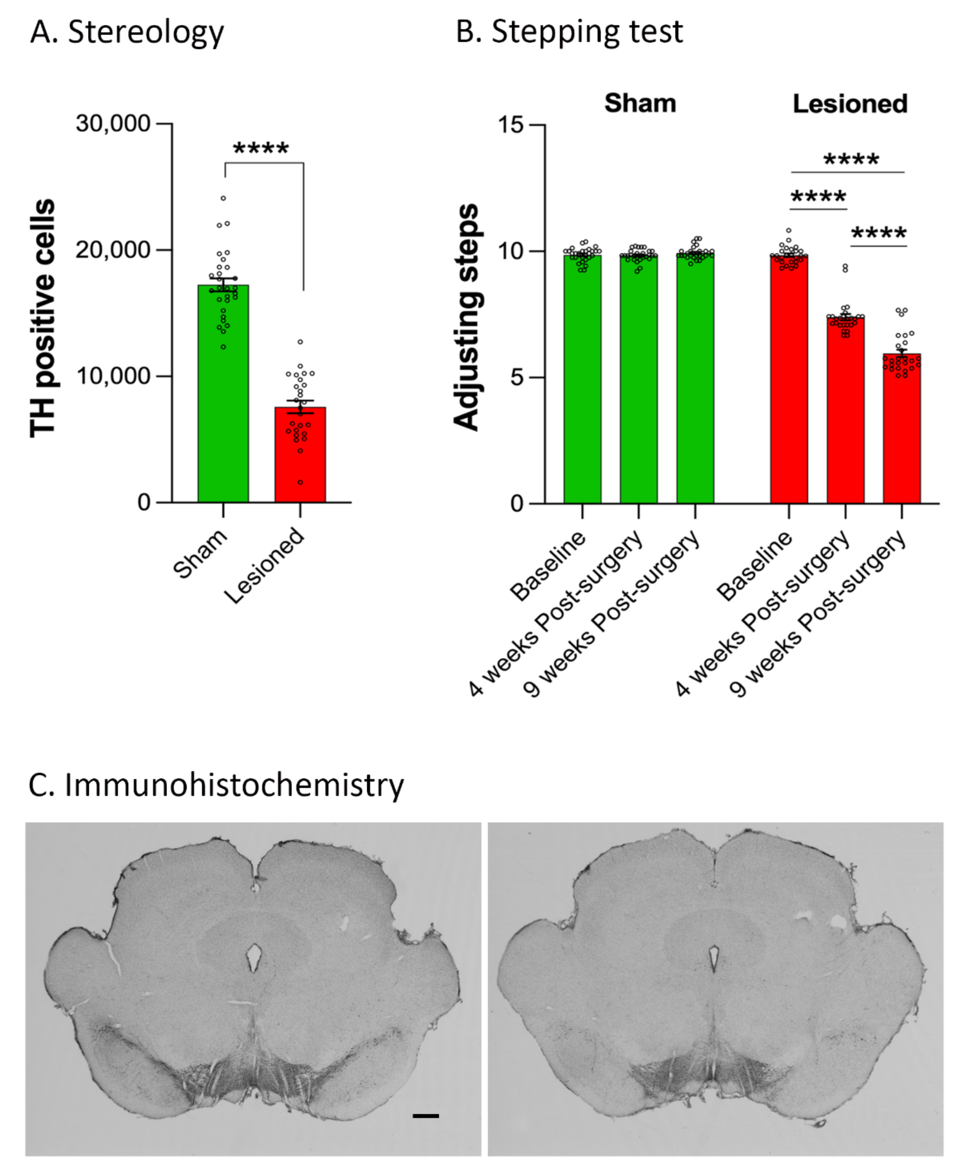 Biomedicines 10 00542 g002 Biomedicines 10 00542 g002