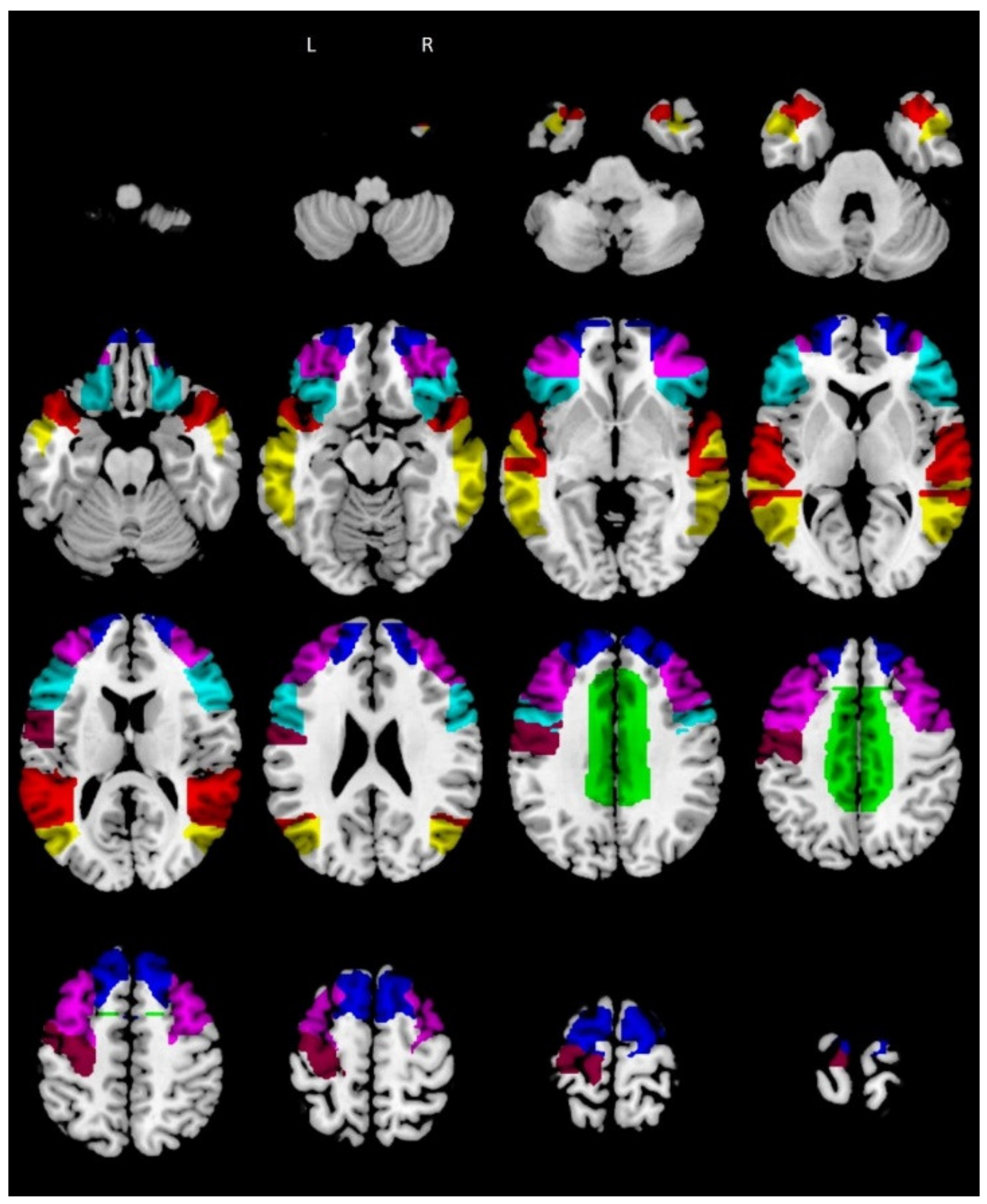 Biomedicines 10 00544 g001 550