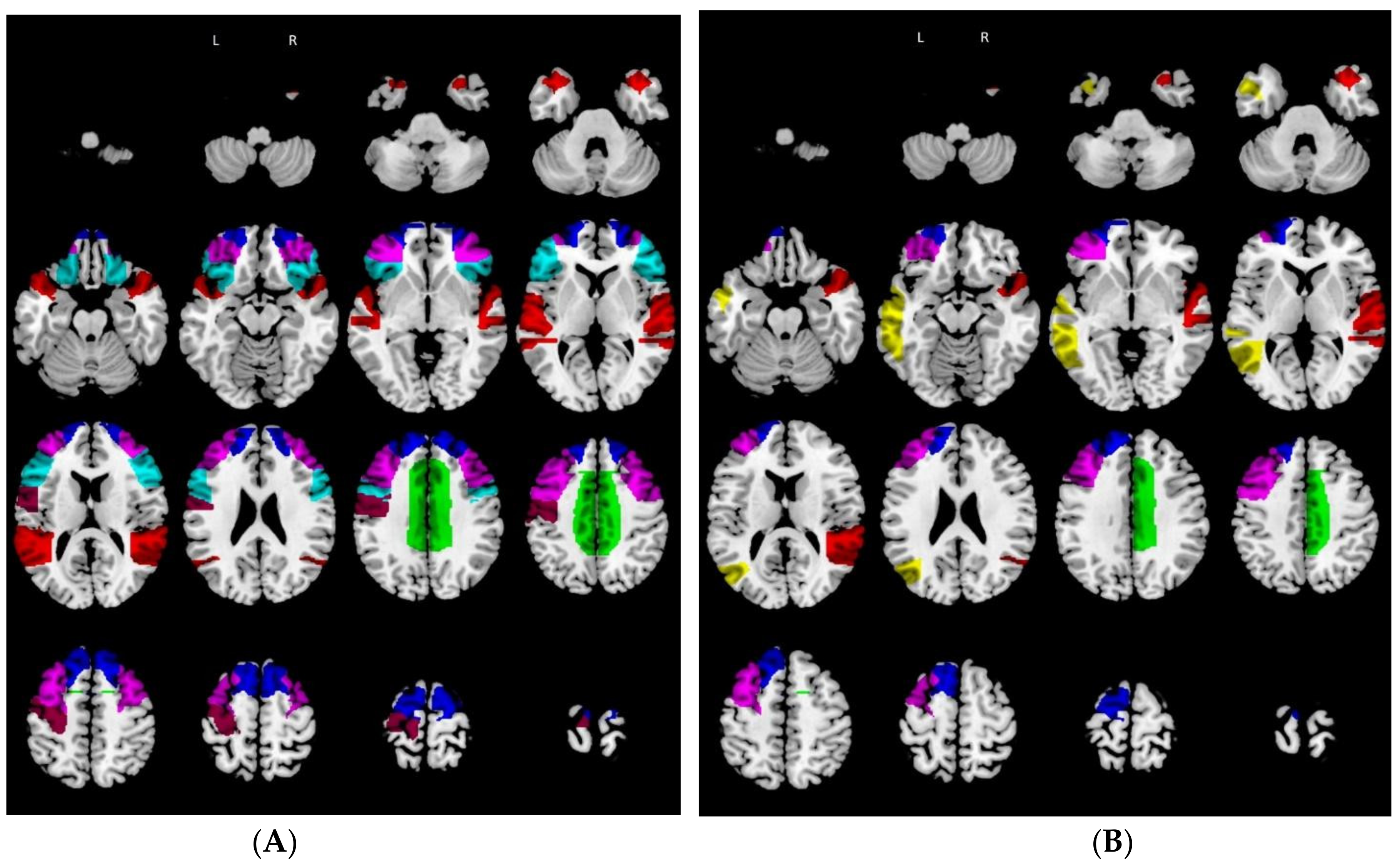 Biomedicines 10 00544 g002 550
