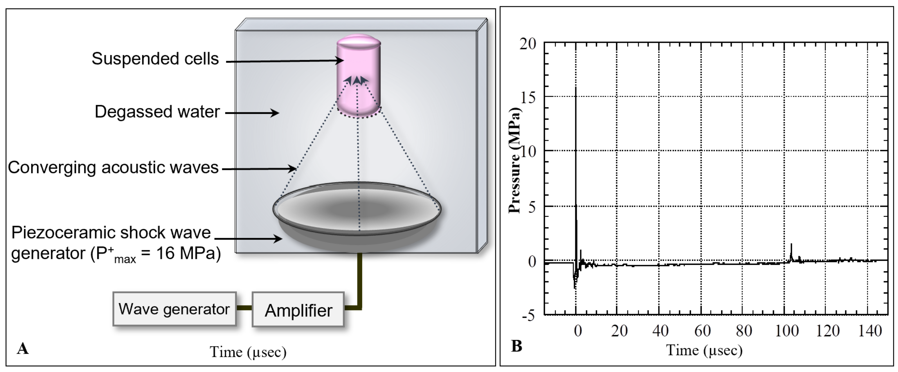 Biomedicines 10 00545 g001 Biomedicines 10 00545 g001