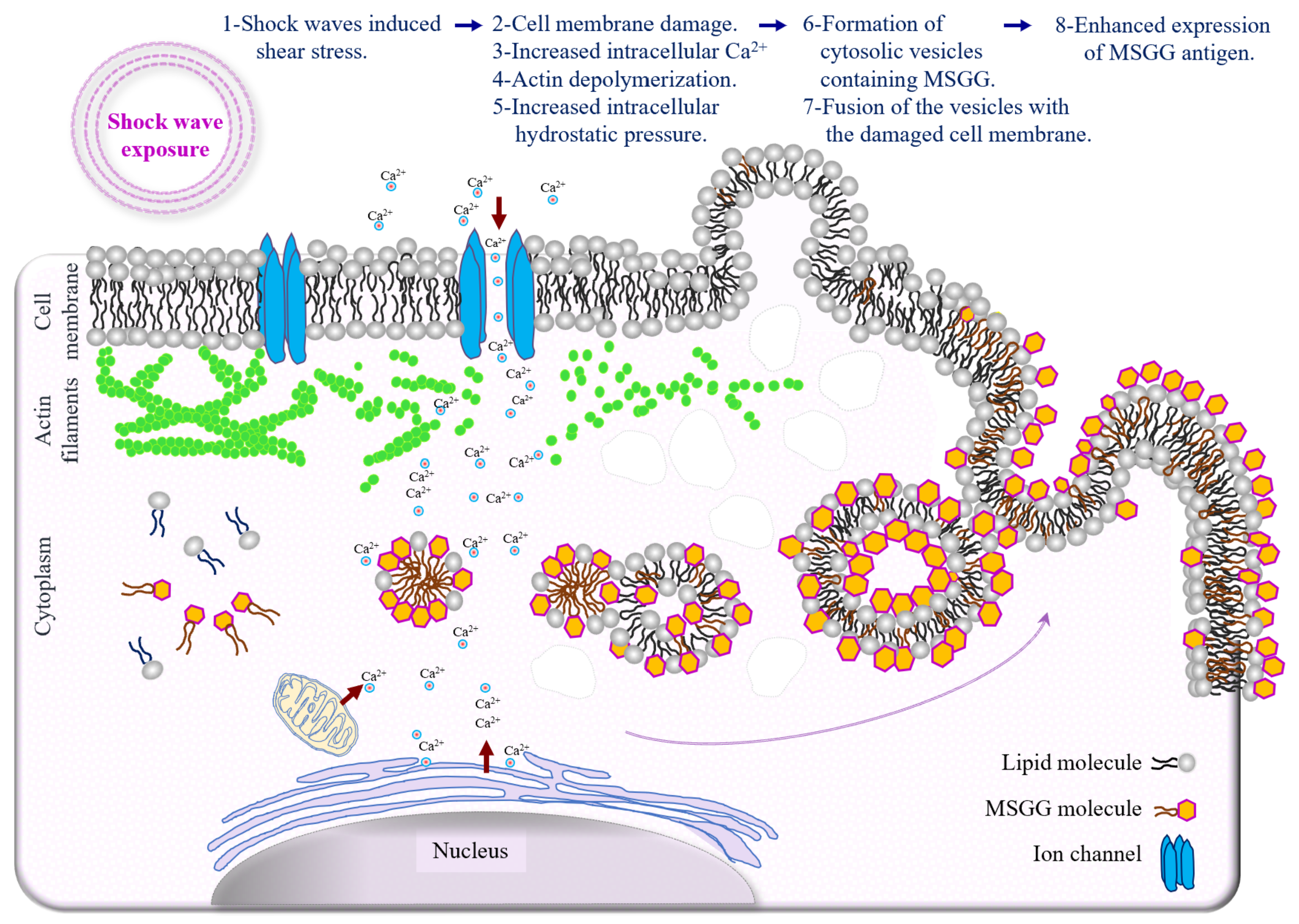 Biomedicines 10 00545 g009 Biomedicines 10 00545 g009