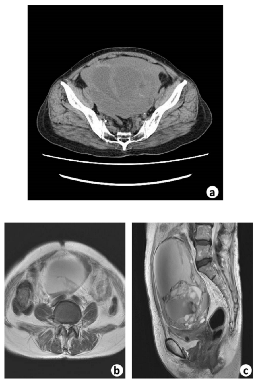 Biomedicines 10 00547 g001 550
