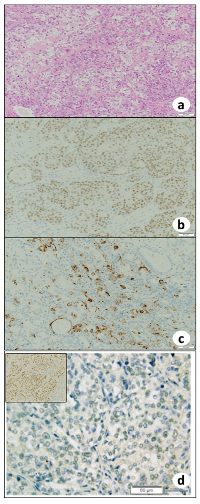 Biomedicines 10 00547 g003 550