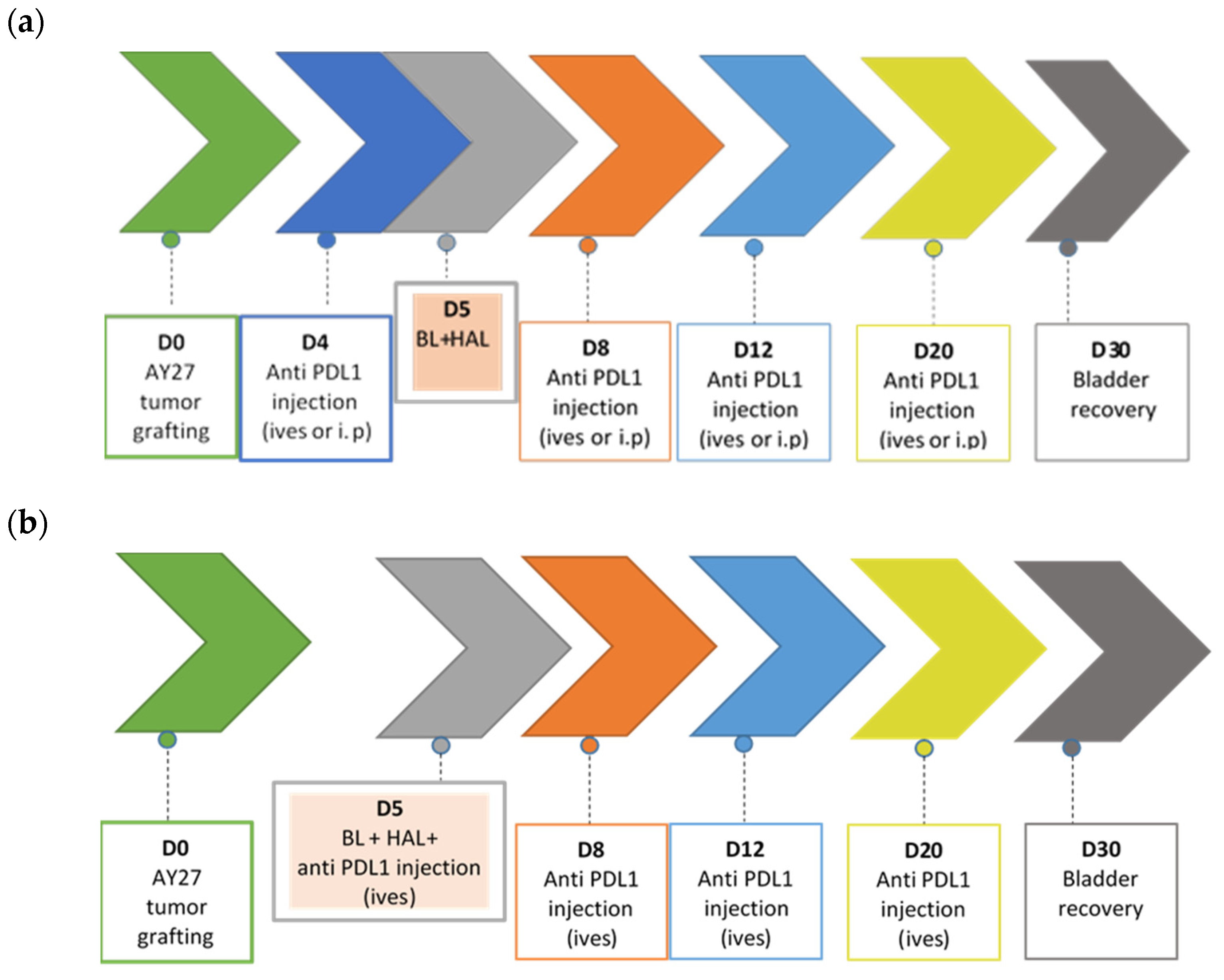 Biomedicines 10 00548 g001 Biomedicines 10 00548 g001