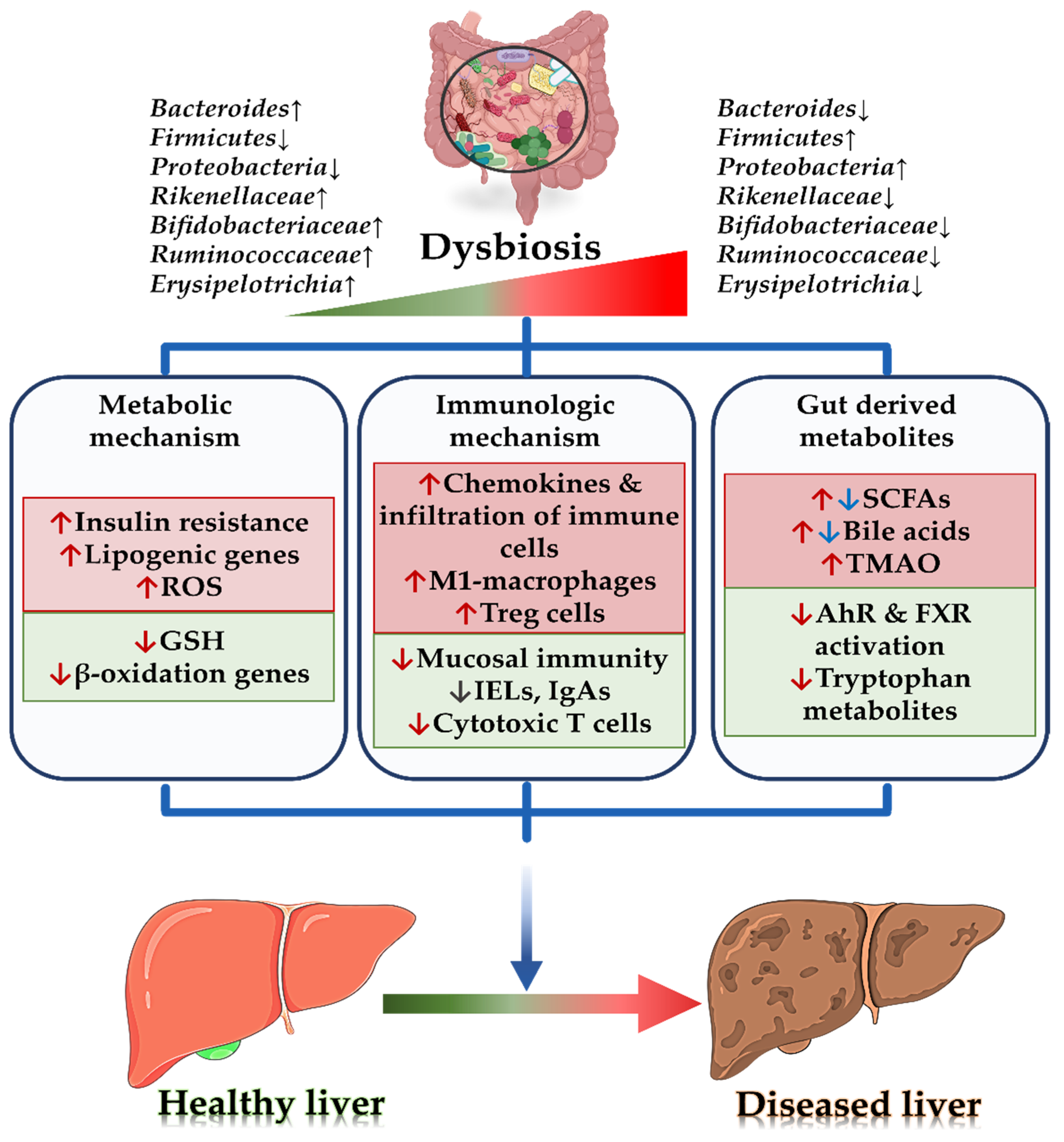 Biomedicines 10 00550 g001 550