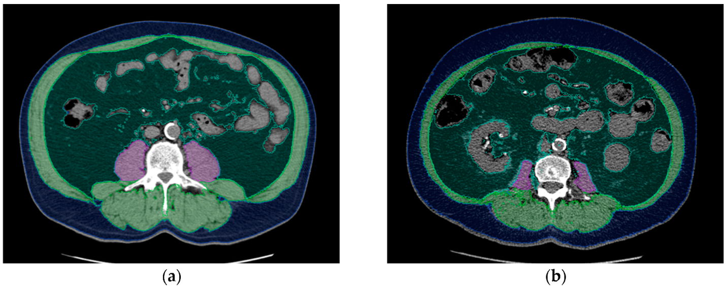 Biomedicines 10 00554 g001