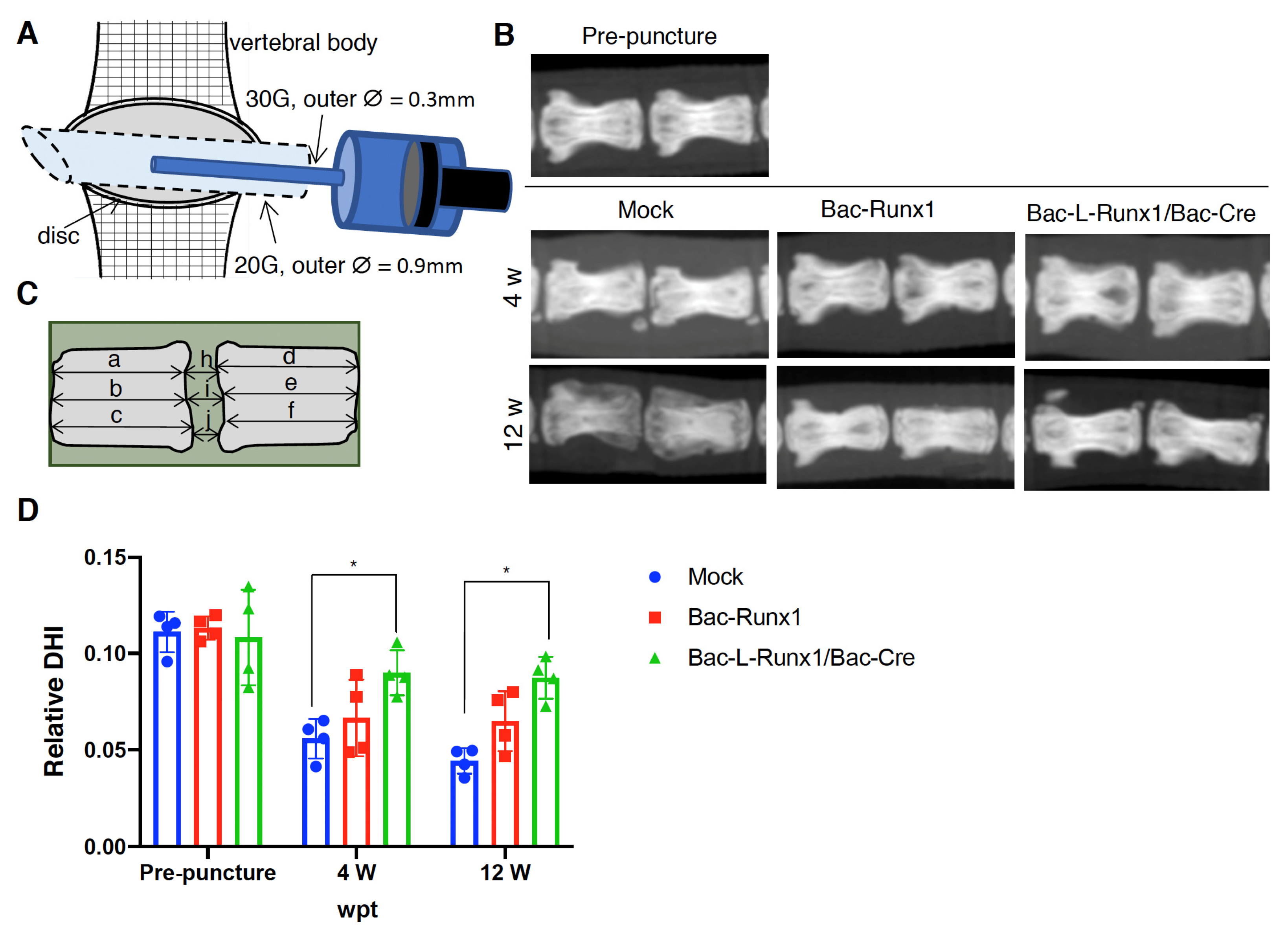 Biomedicines 10 00555 g006 Biomedicines 10 00555 g006