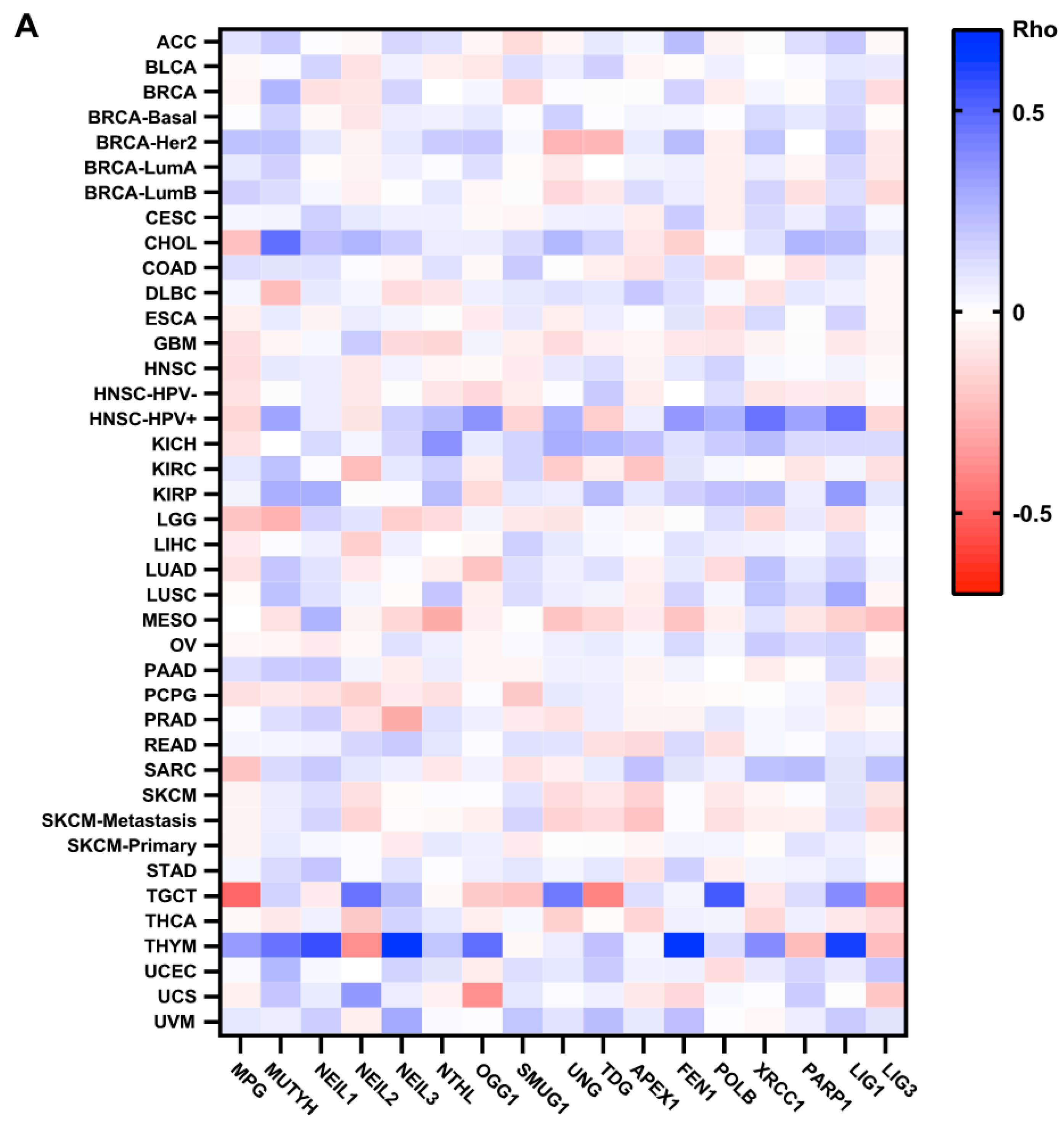 Biomedicines 10 00557 g003a