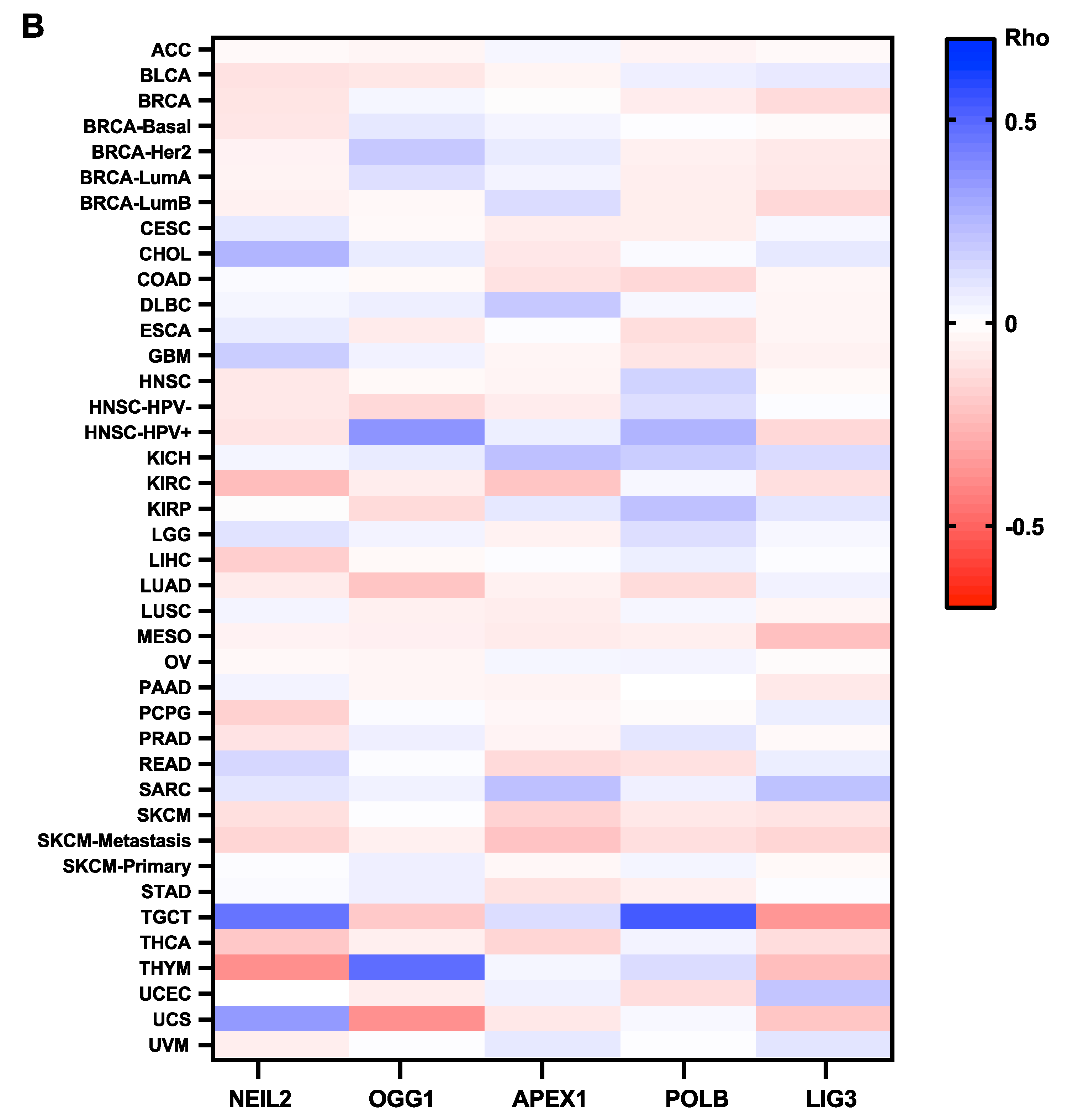 Biomedicines 10 00557 g003b