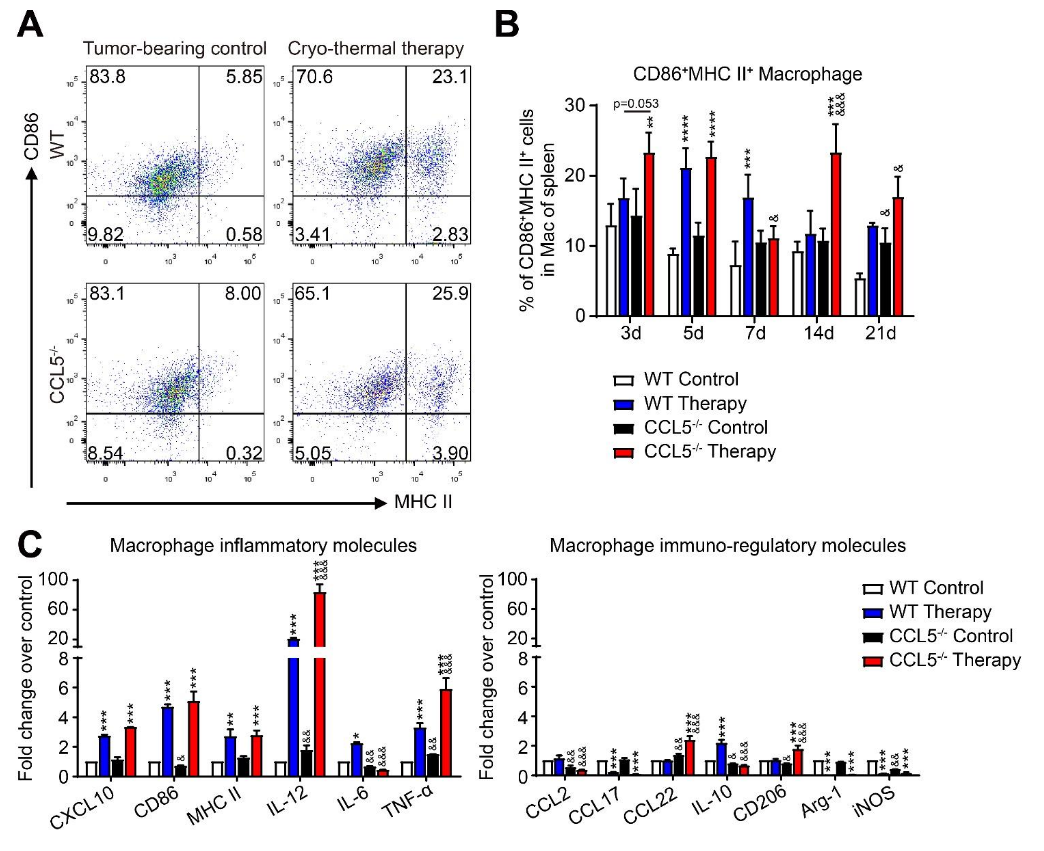 Biomedicines 10 00559 g003