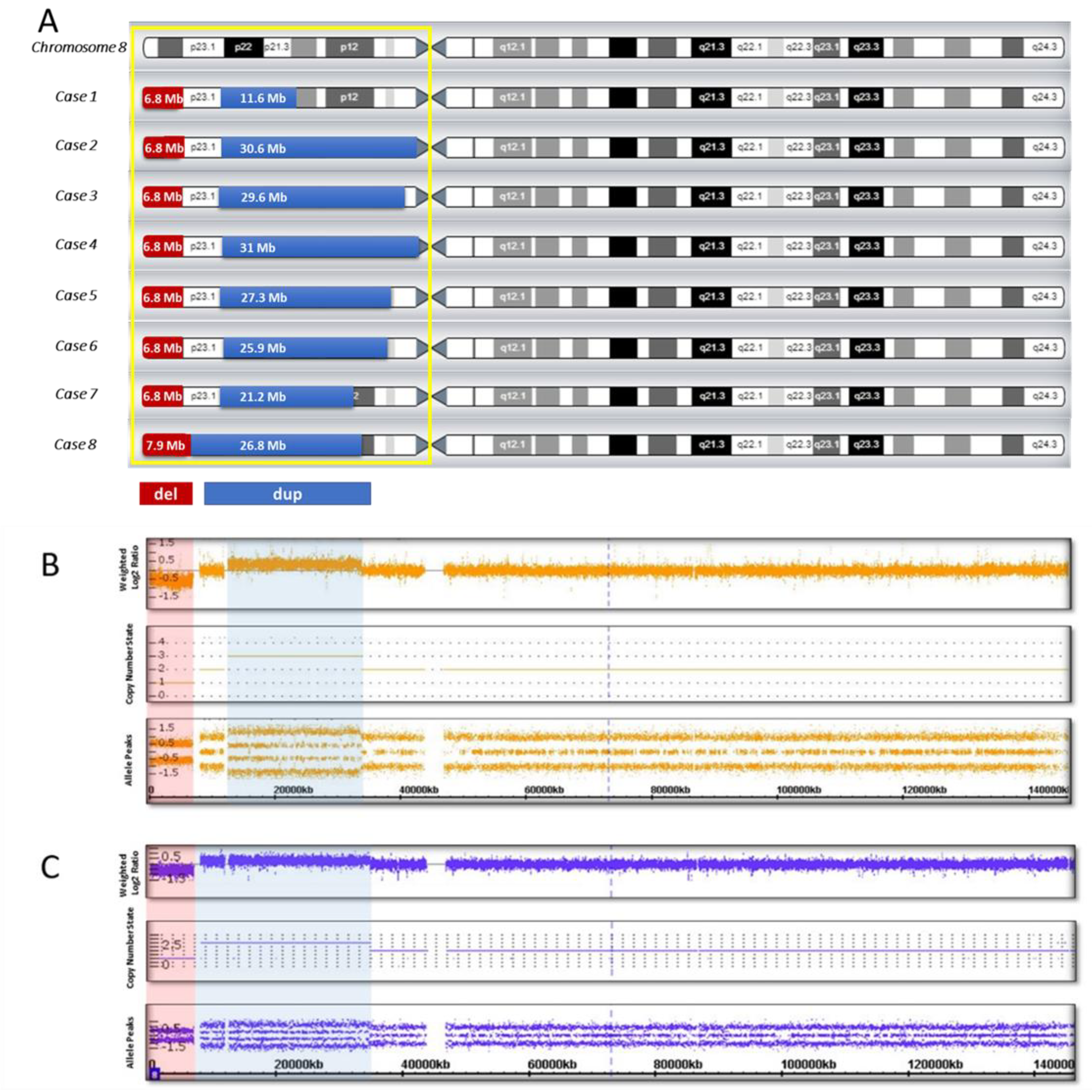 Biomedicines 10 00567 g001