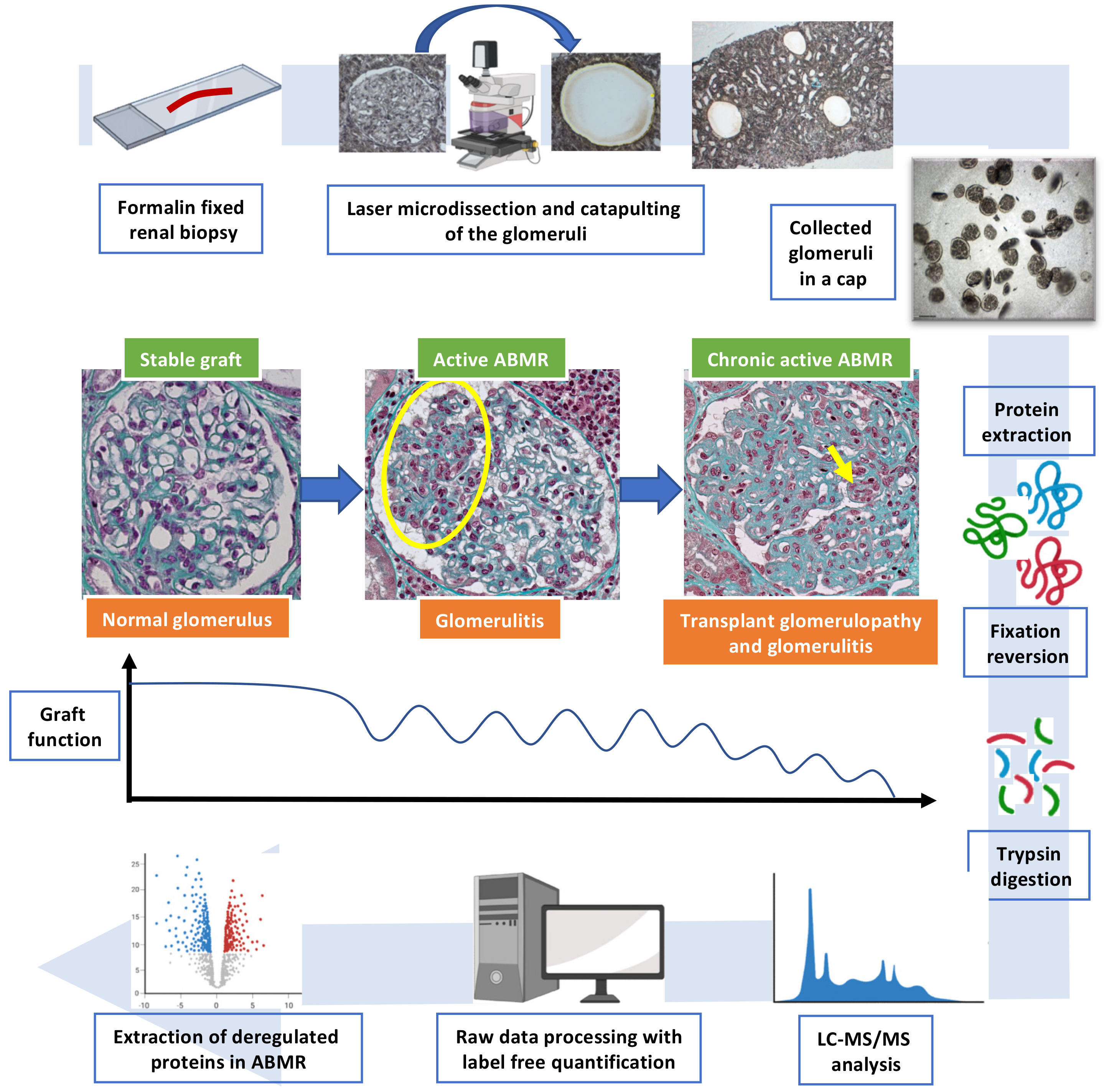 Biomedicines 10 00569 g001 Biomedicines 10 00569 g001