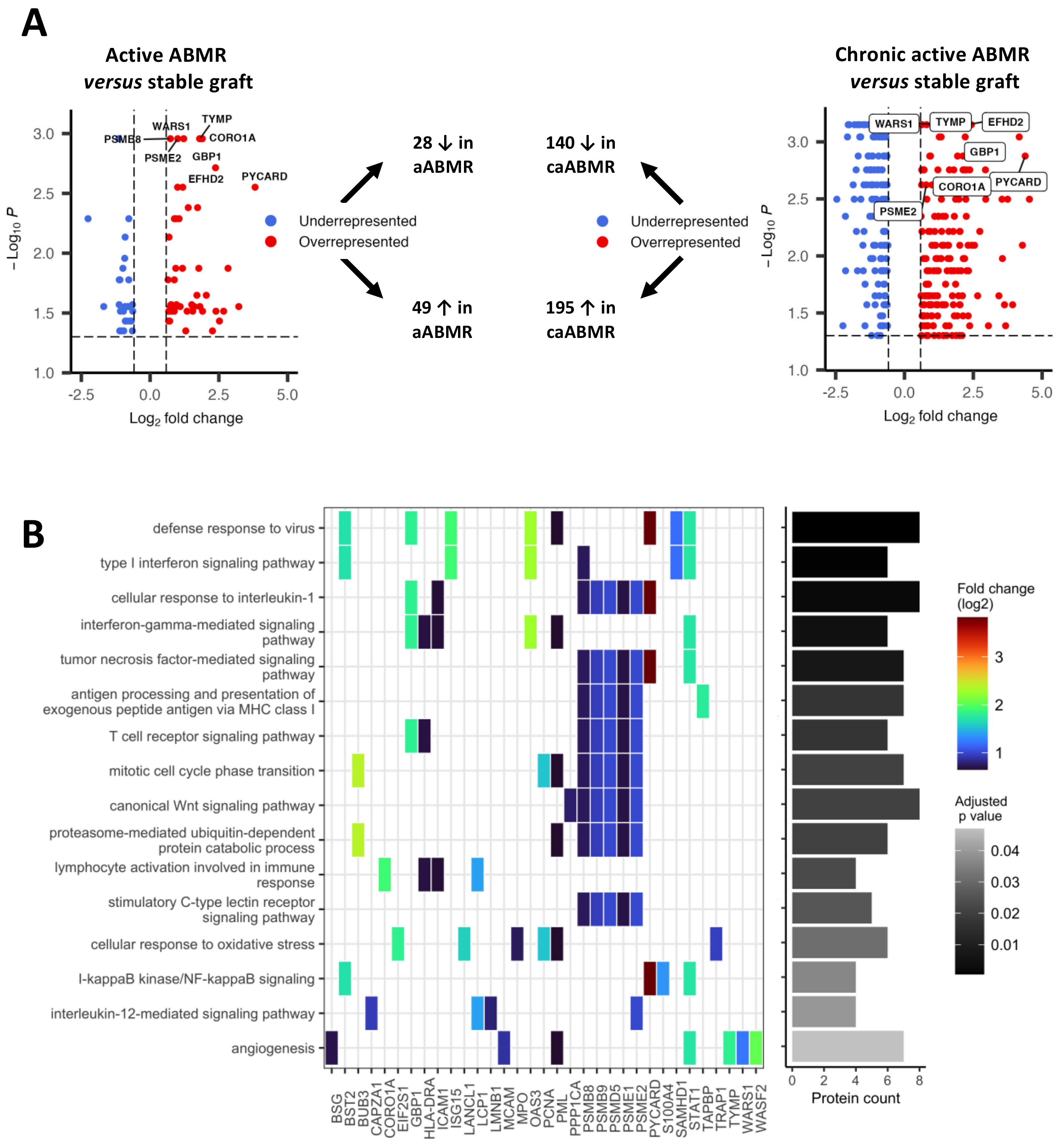 Biomedicines 10 00569 g002 Biomedicines 10 00569 g002