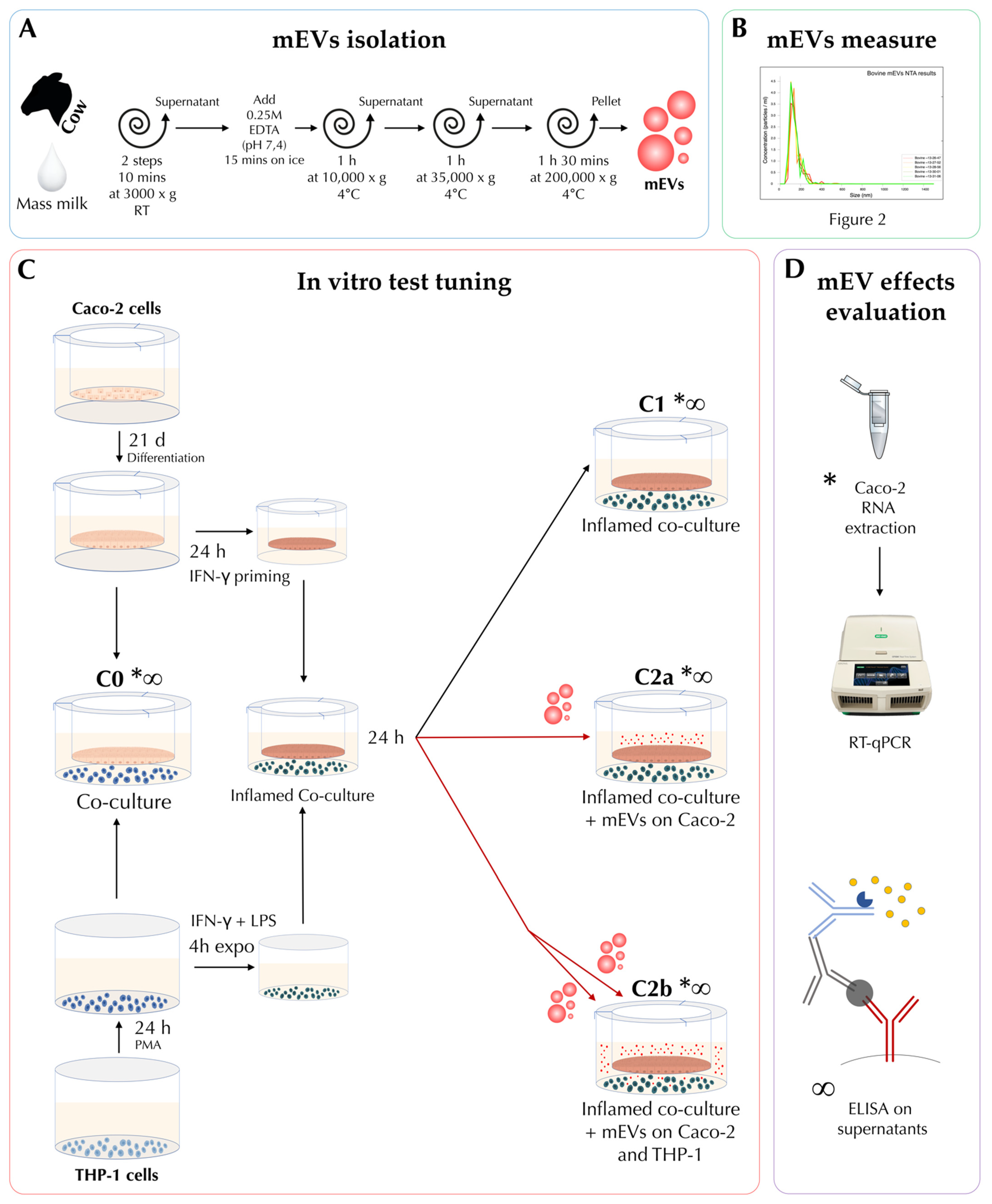 Biomedicines 10 00570 g001 Biomedicines 10 00570 g001