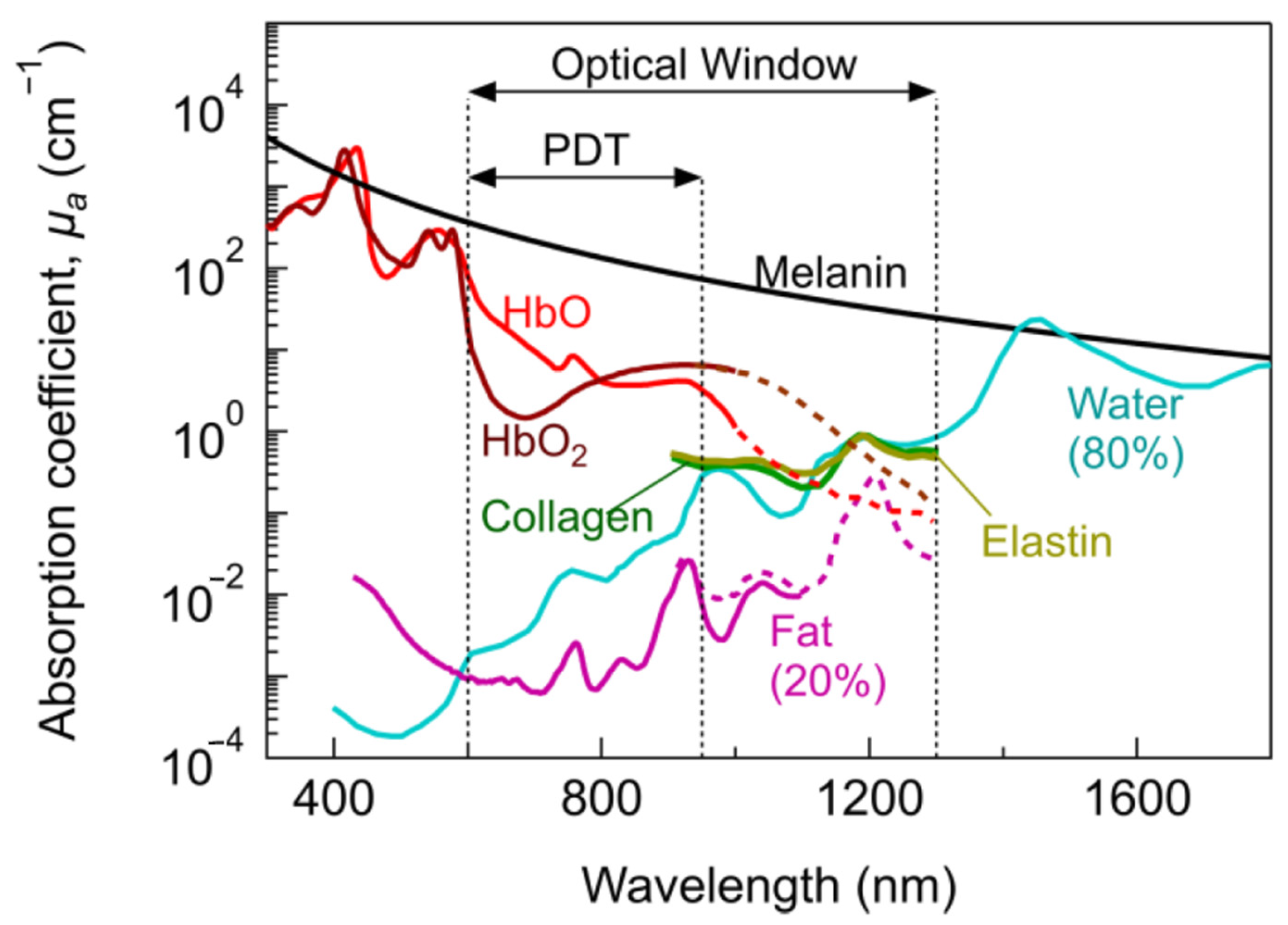 Biomedicines 10 00578 g001 Biomedicines 10 00578 g001