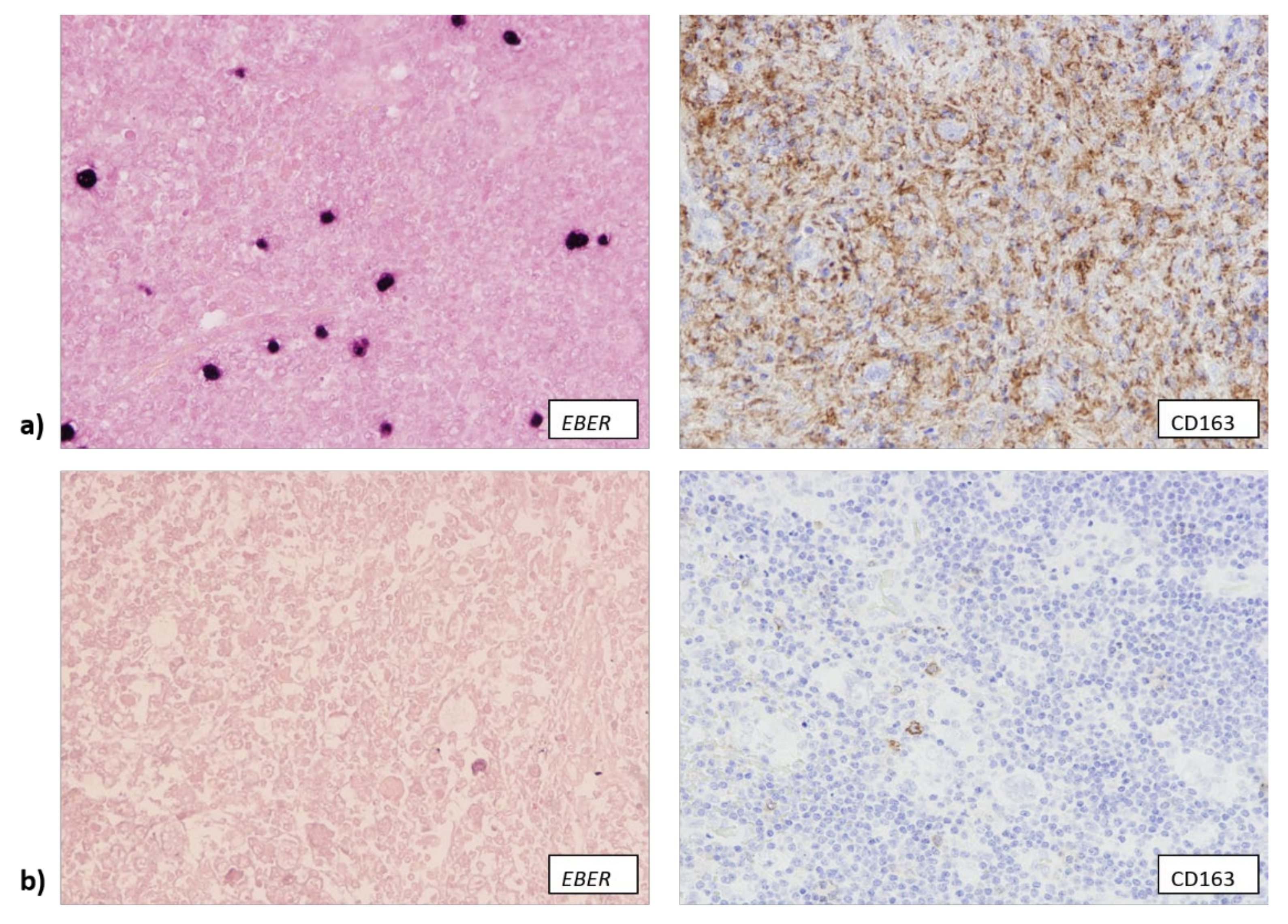 Biomedicines 10 00579 g002