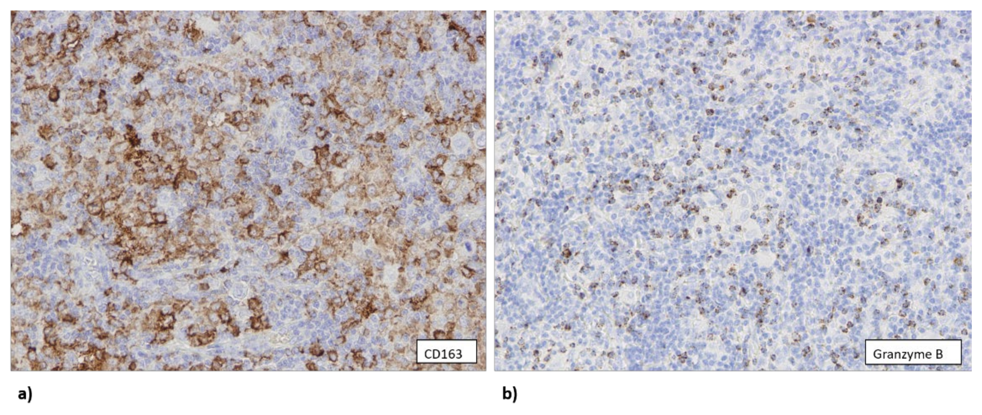 Biomedicines 10 00579 g003