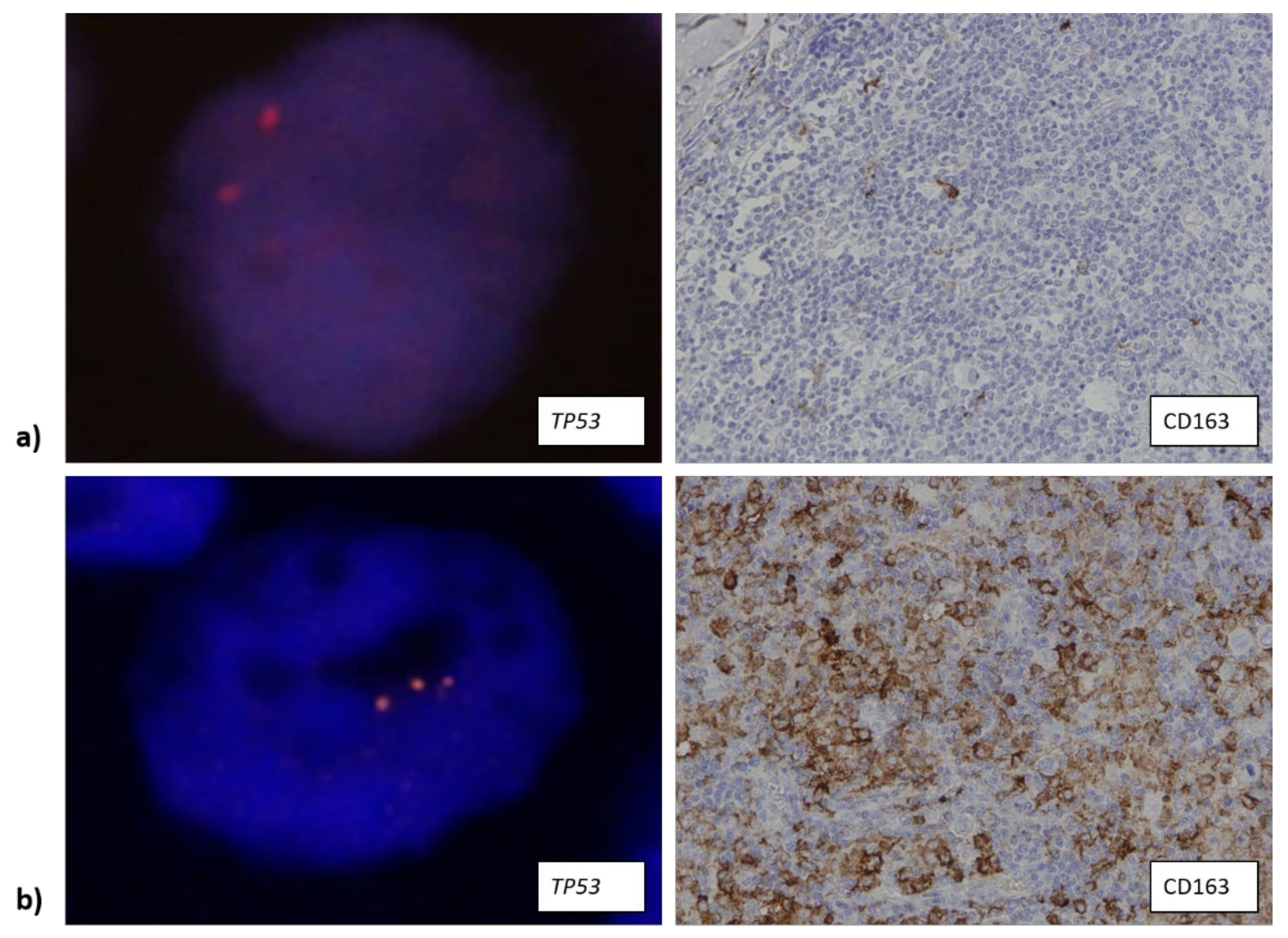 Biomedicines 10 00579 g004