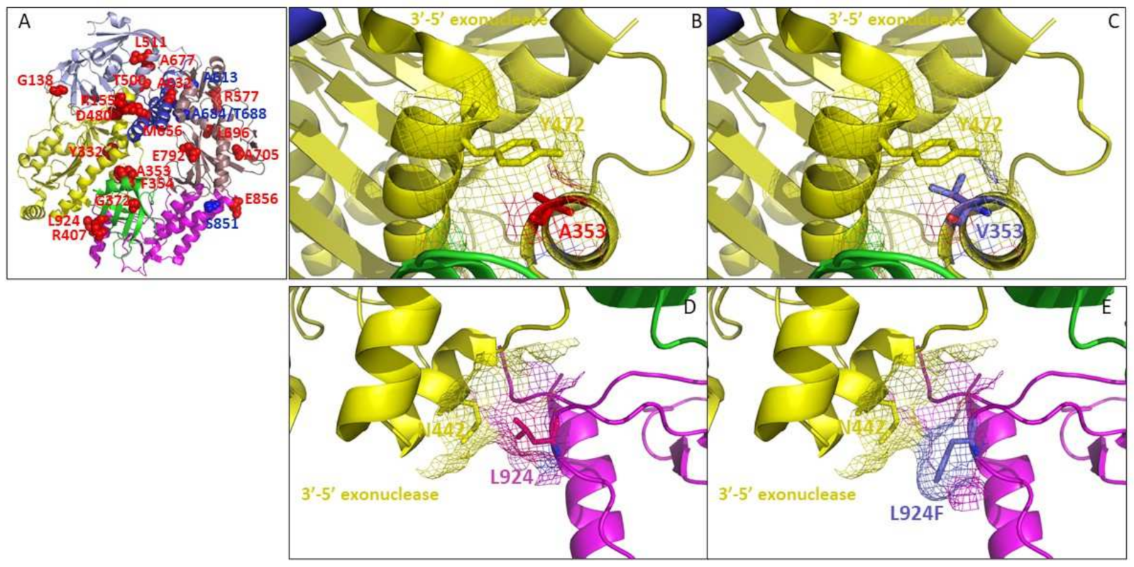 Biomedicines 10 00580 g010