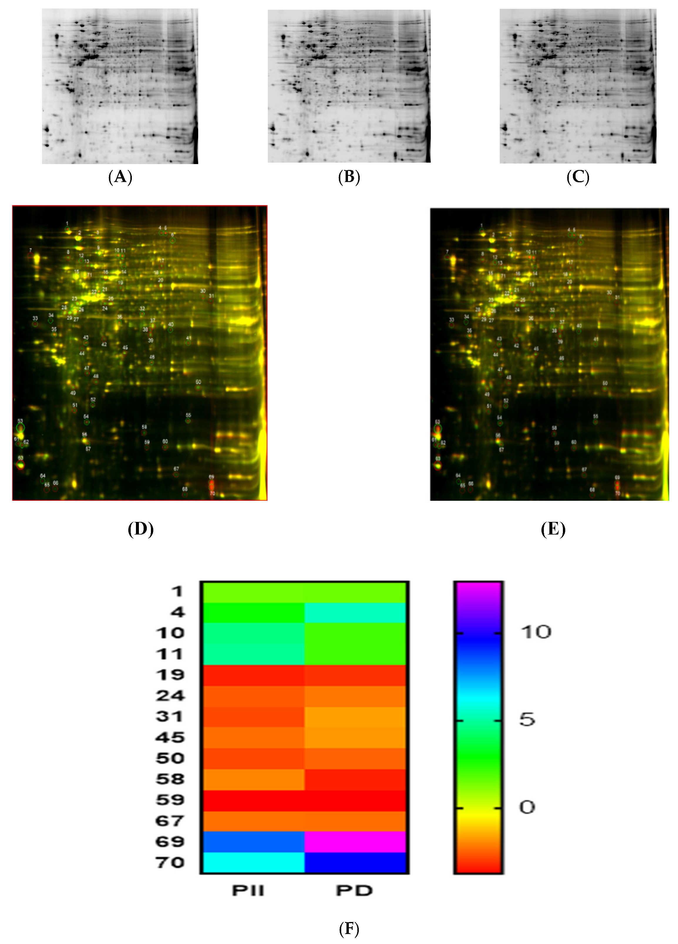 Biomedicines 10 00583 g005