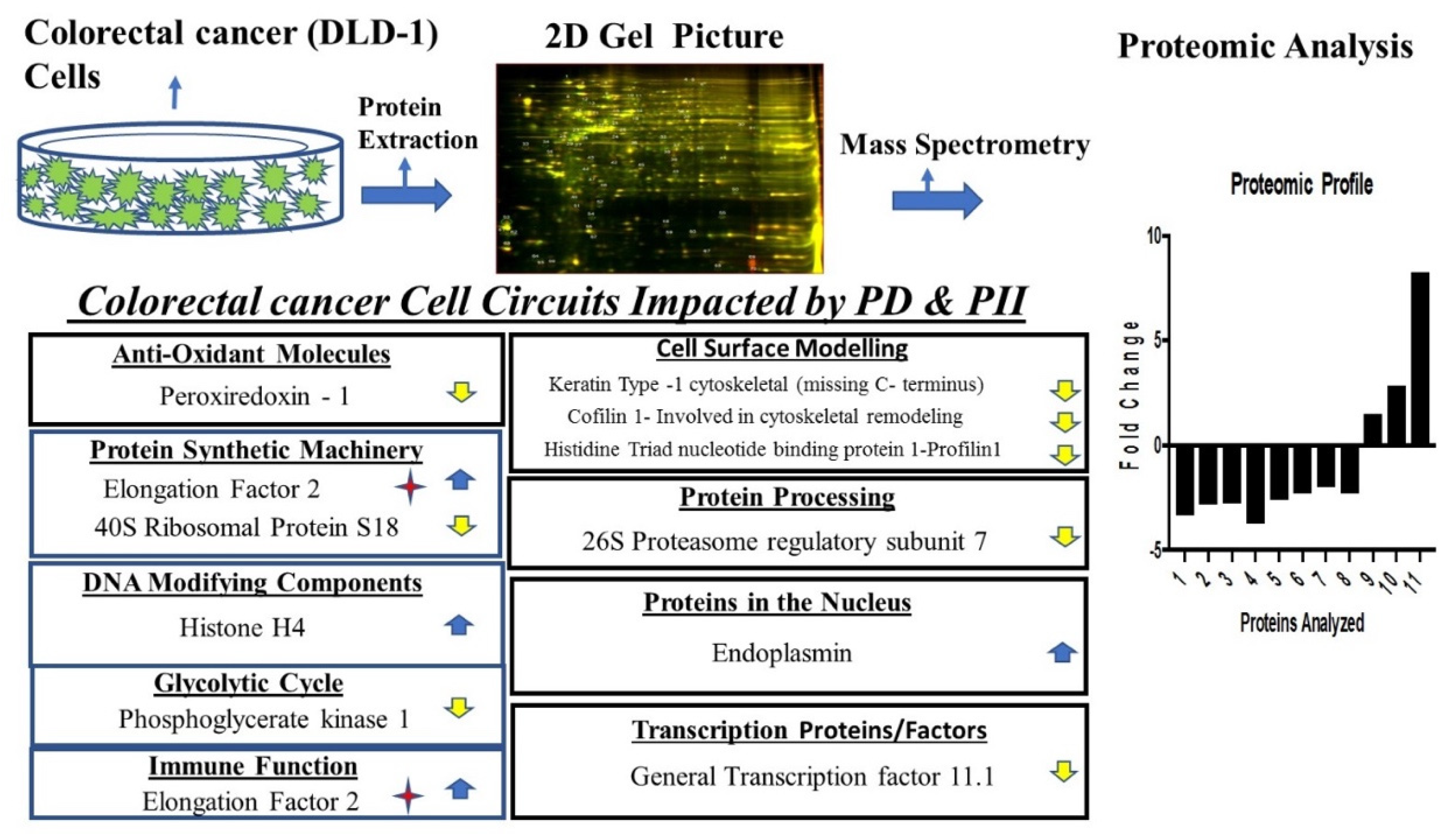 Biomedicines 10 00583 g006