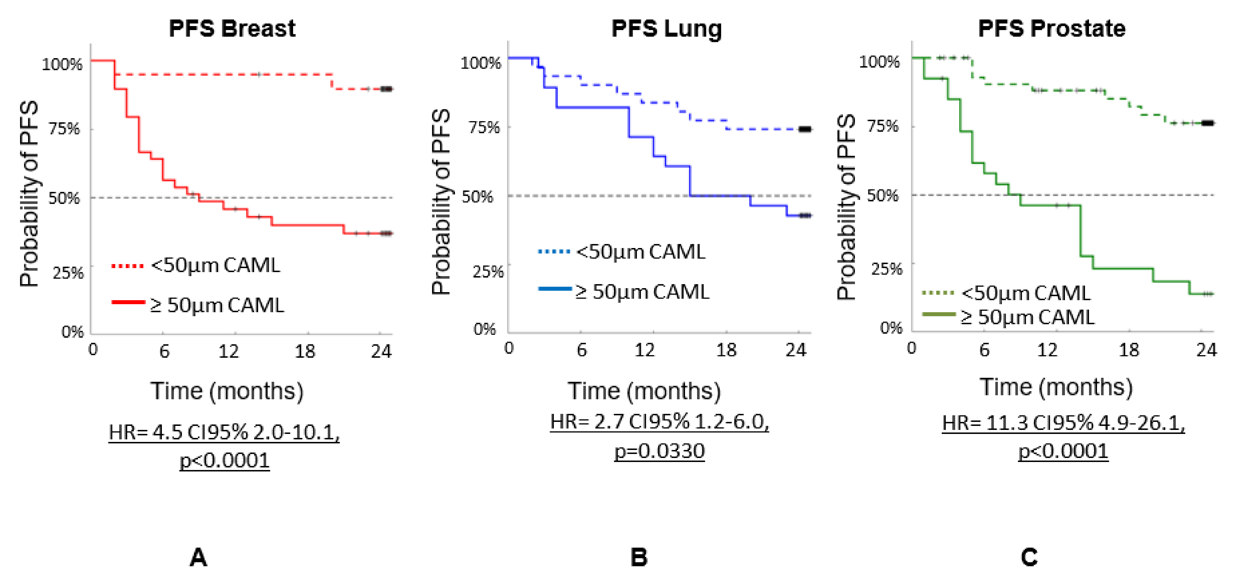 Biomedicines 10 00587 g003 550