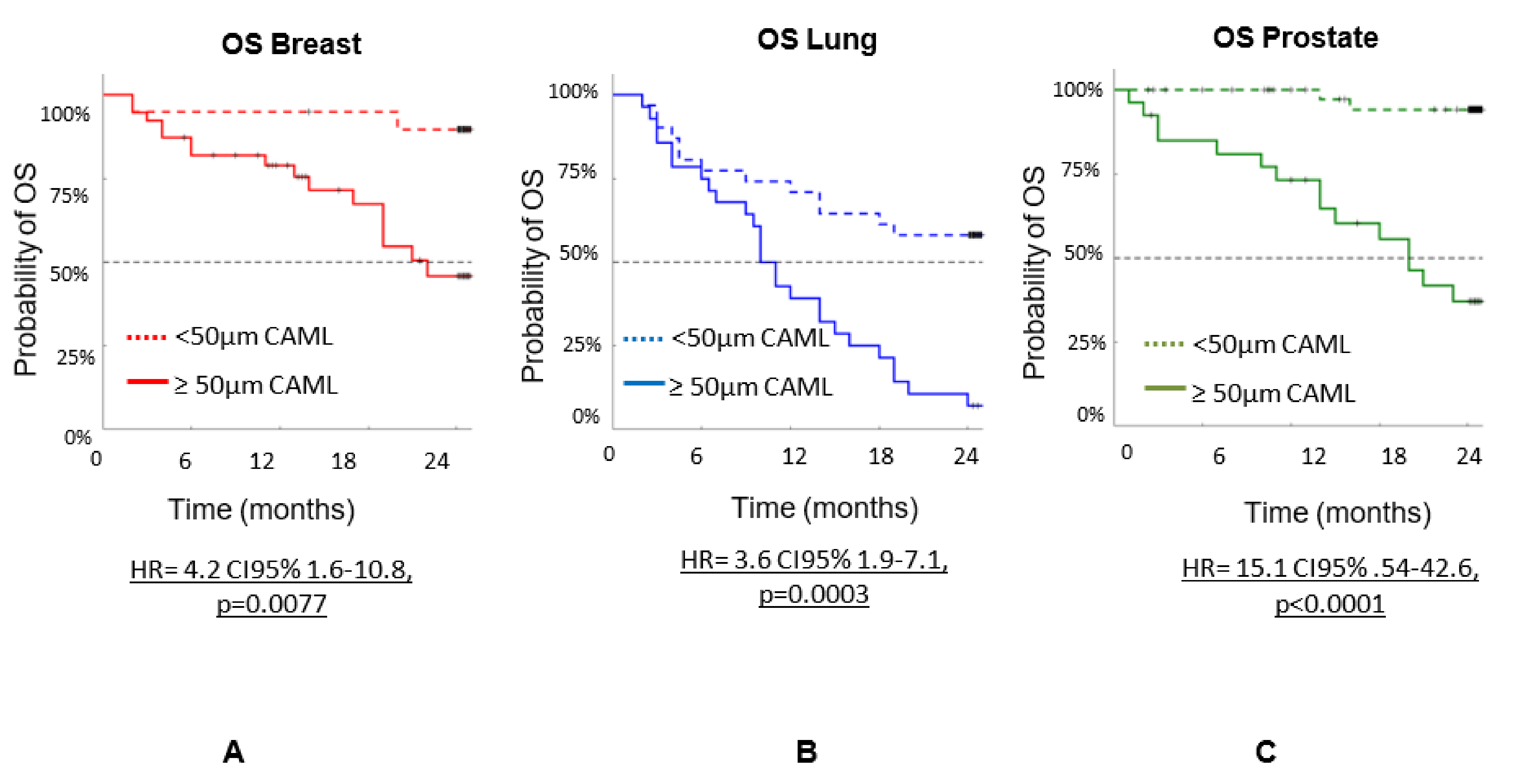 Biomedicines 10 00587 g004 550